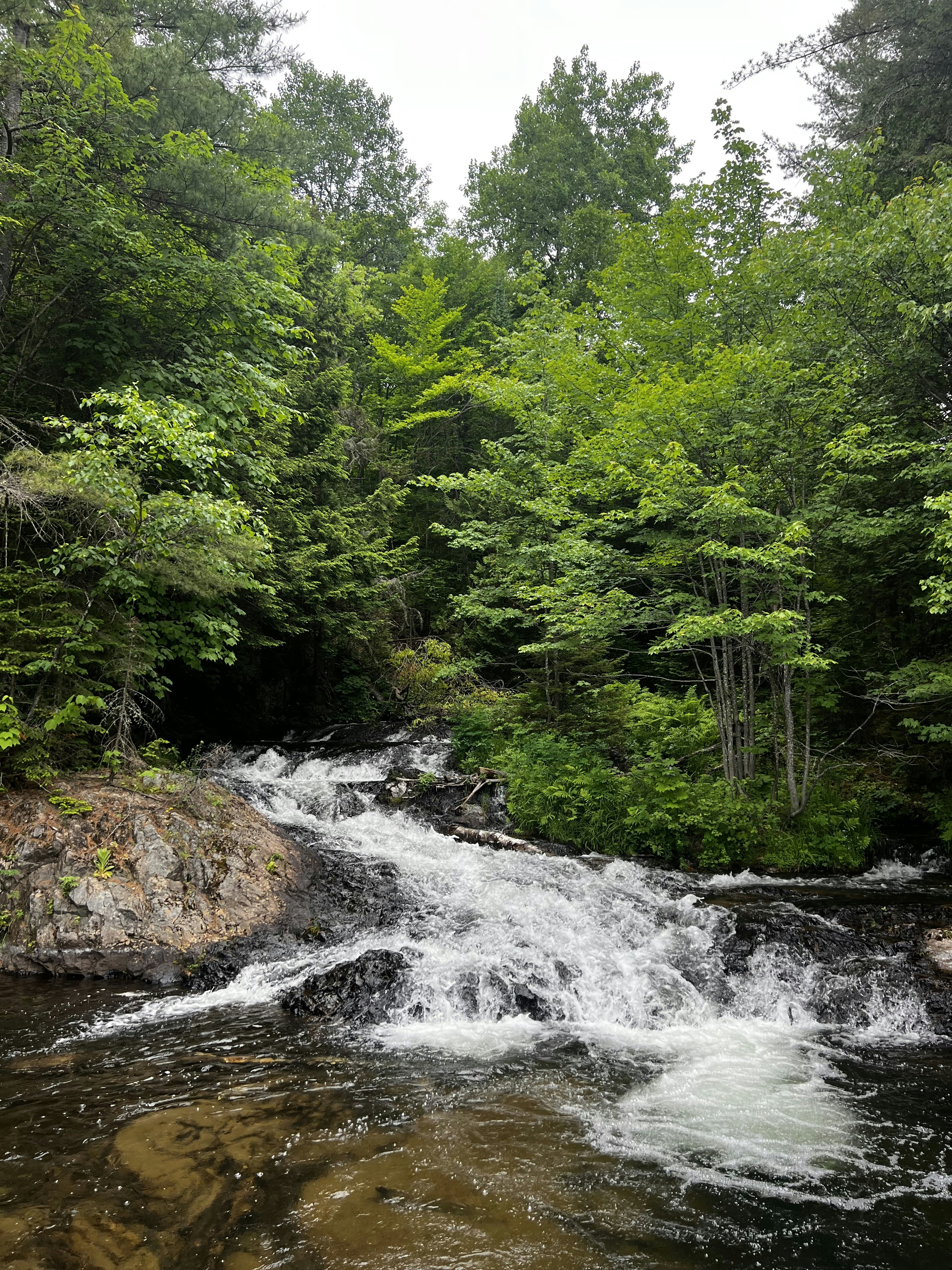 Photo by madelinedale