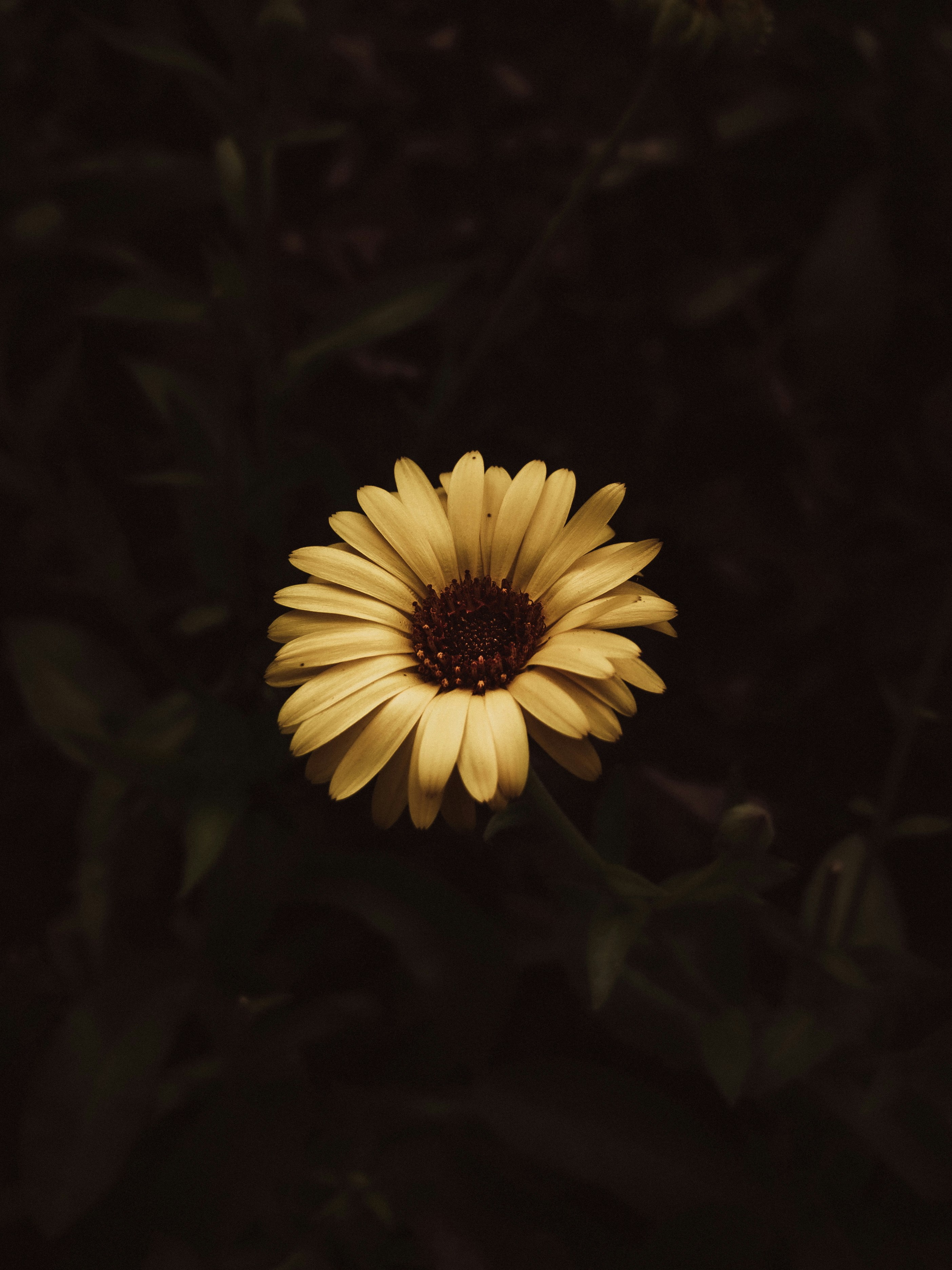 Photo by amritanshdubey