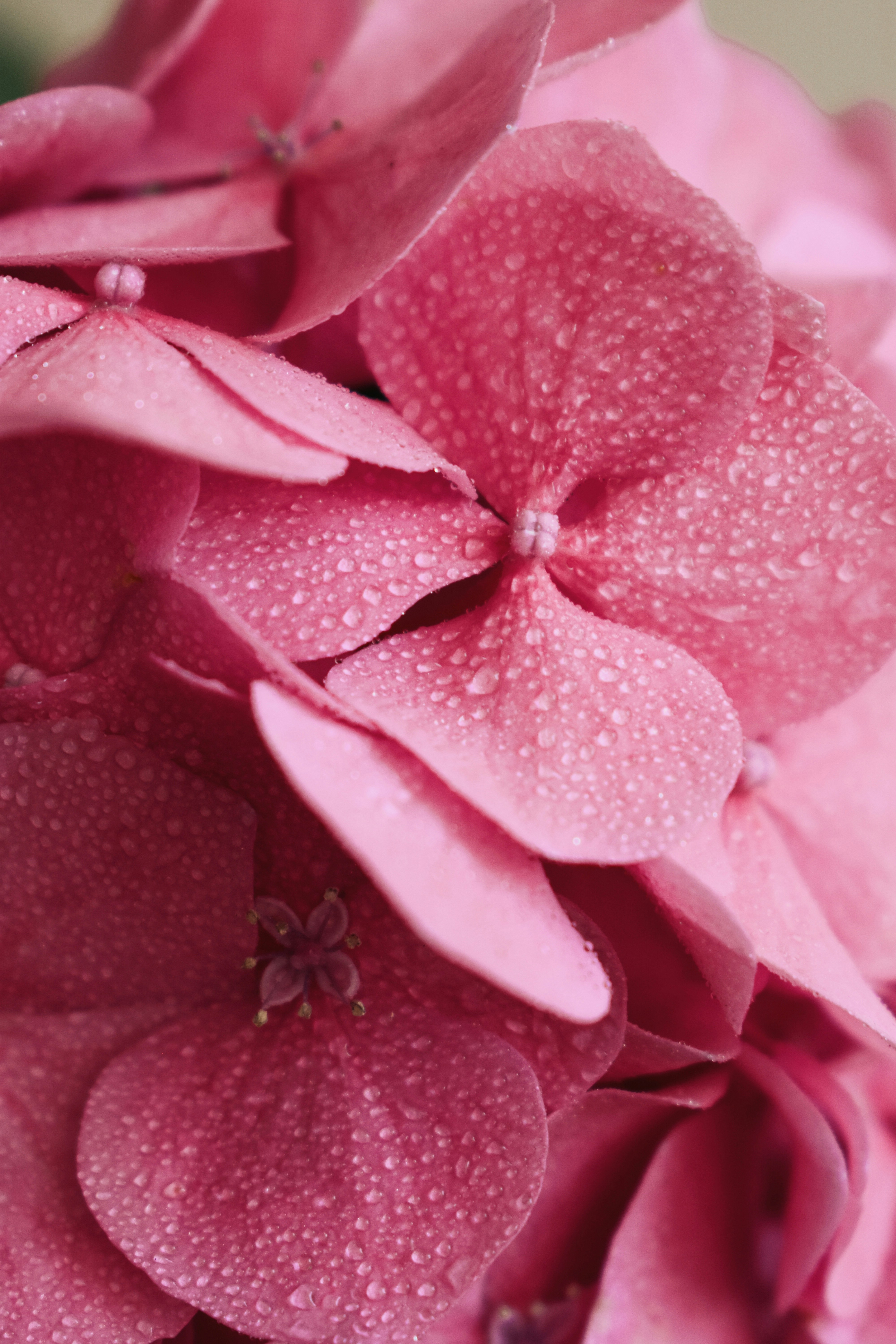 Photo by nisacokokumus