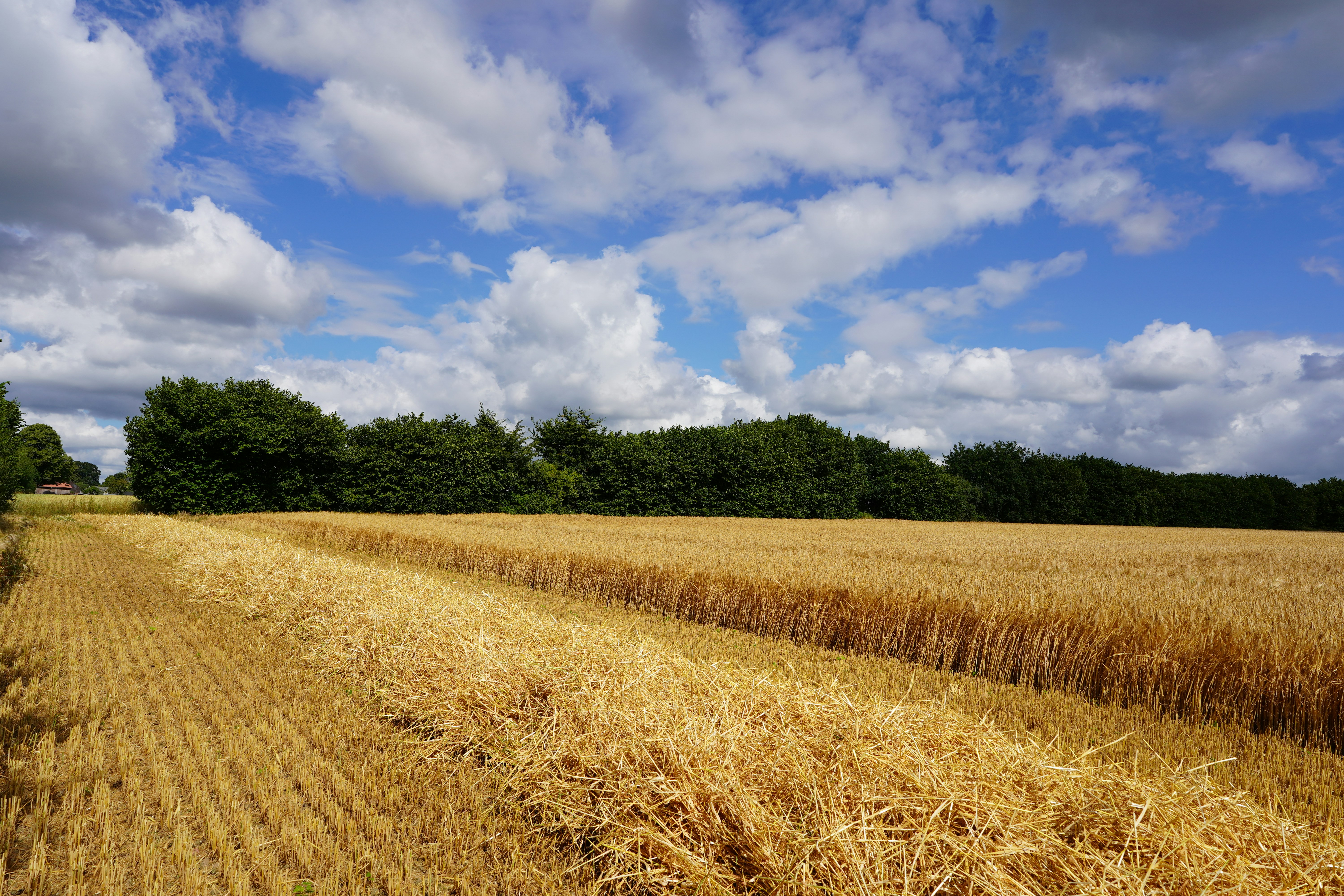 Photo by hamburgmeinefreundin