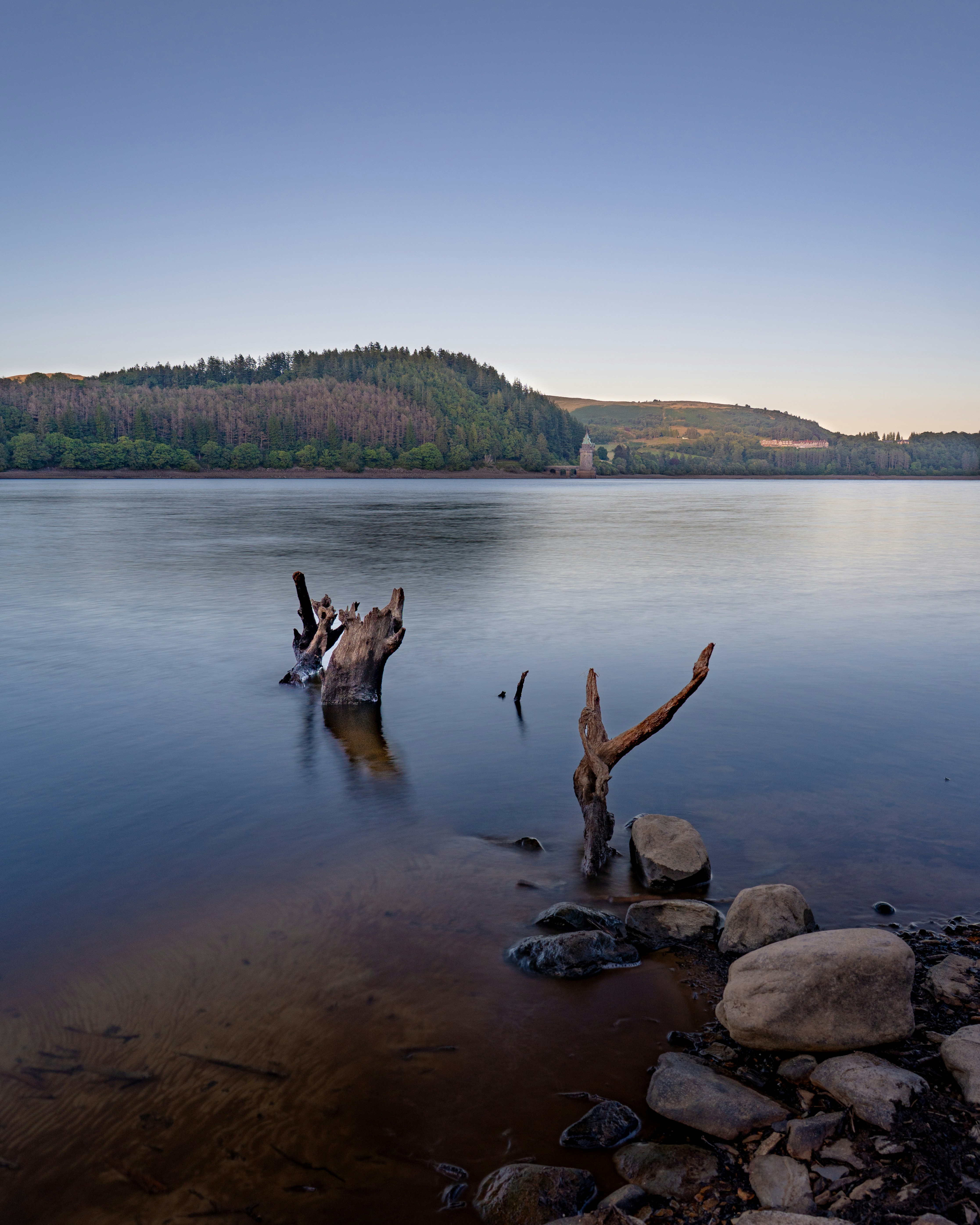 Tranquil lake with tree stumps
