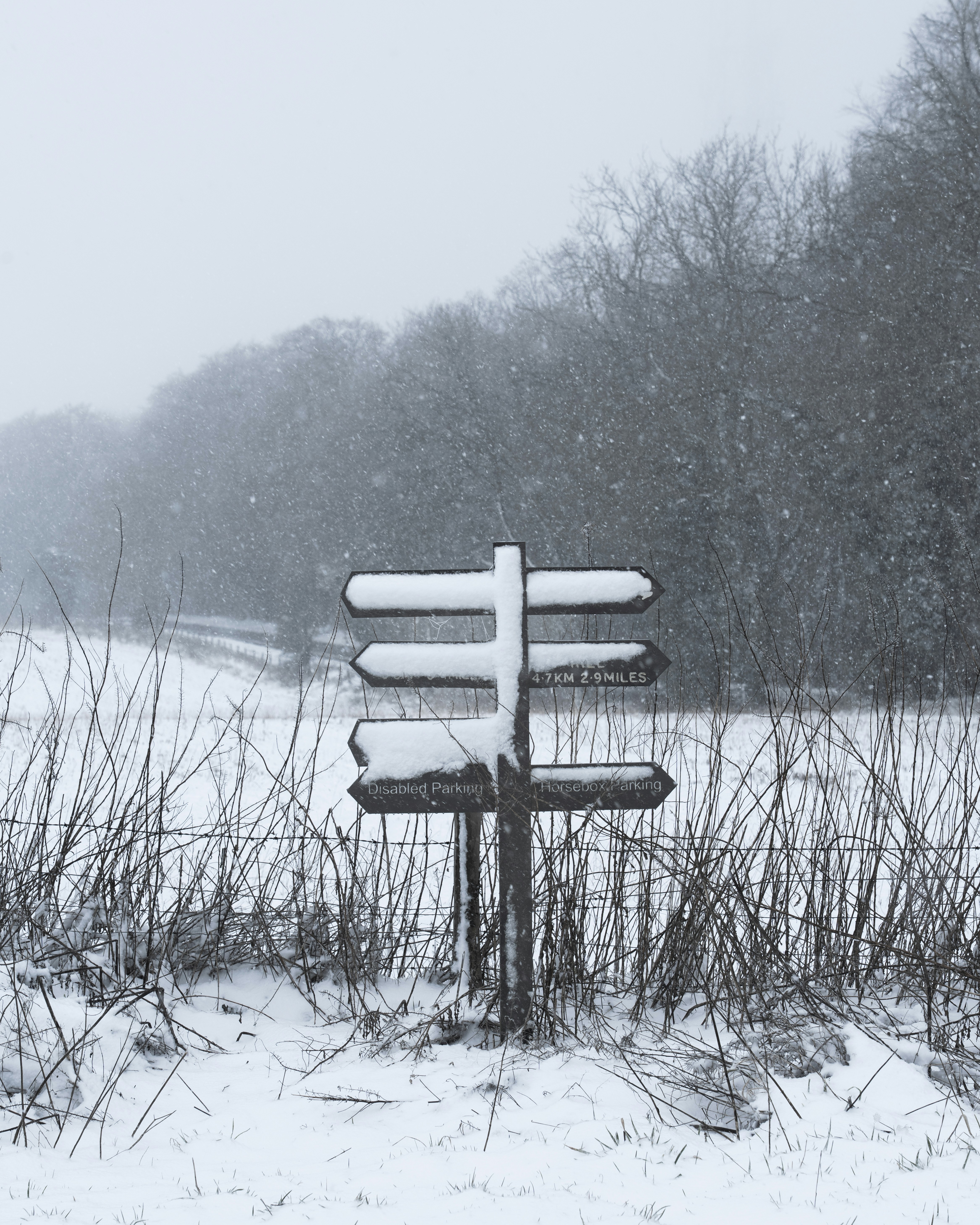 Photo by nathanjfield