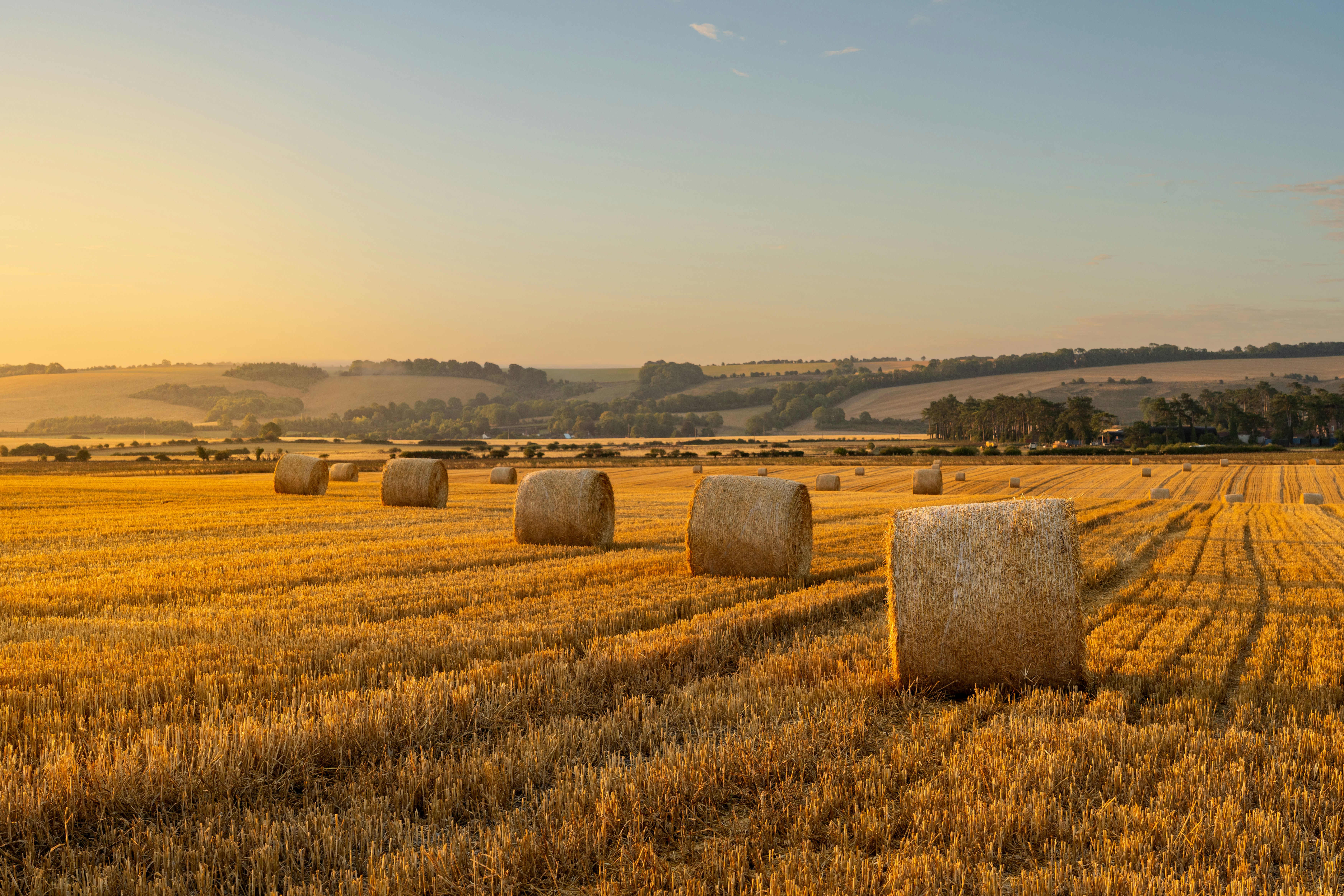 Photo by nathanjfield