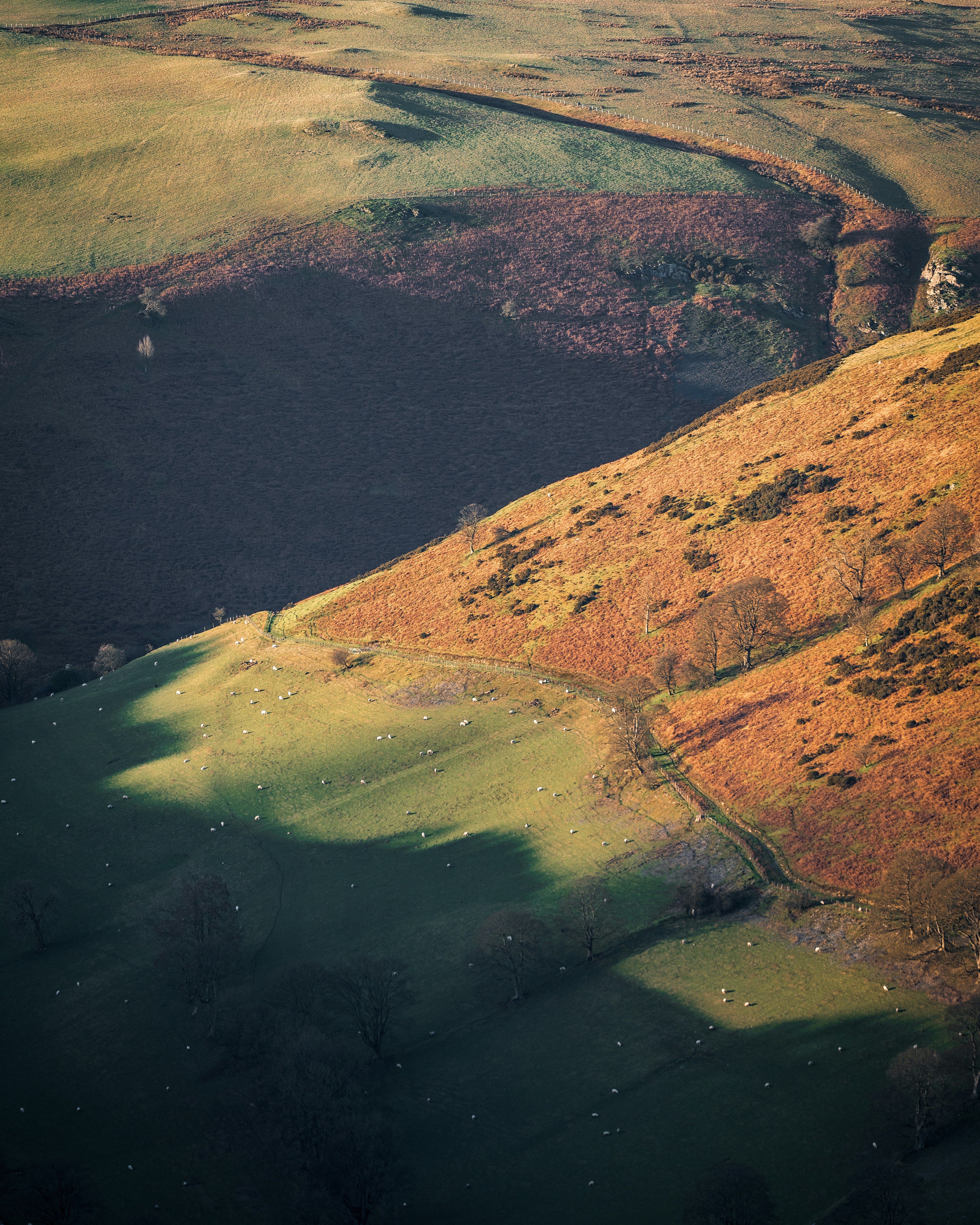 Photo by nathanjfield