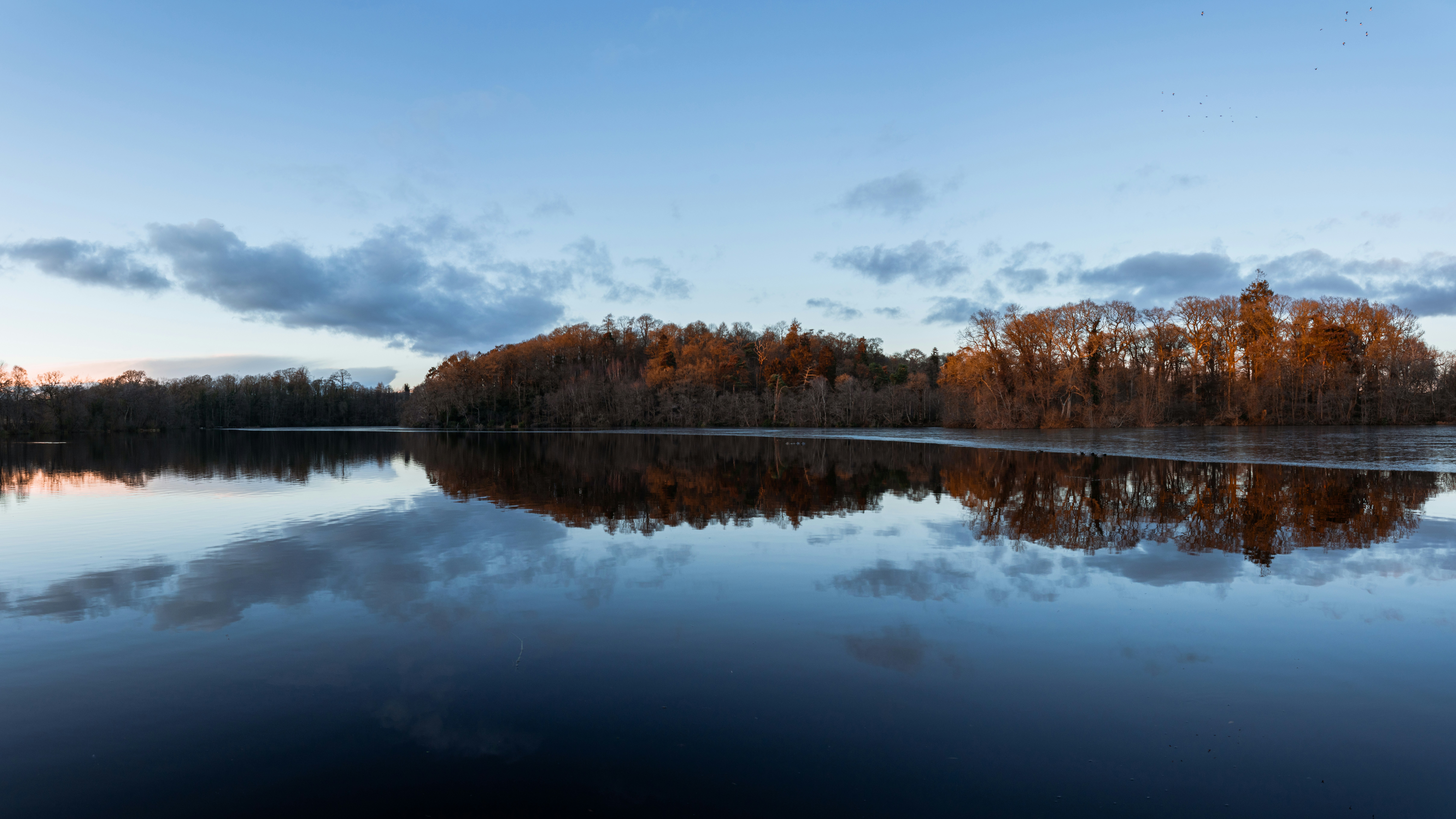 Photo by nathanjfield