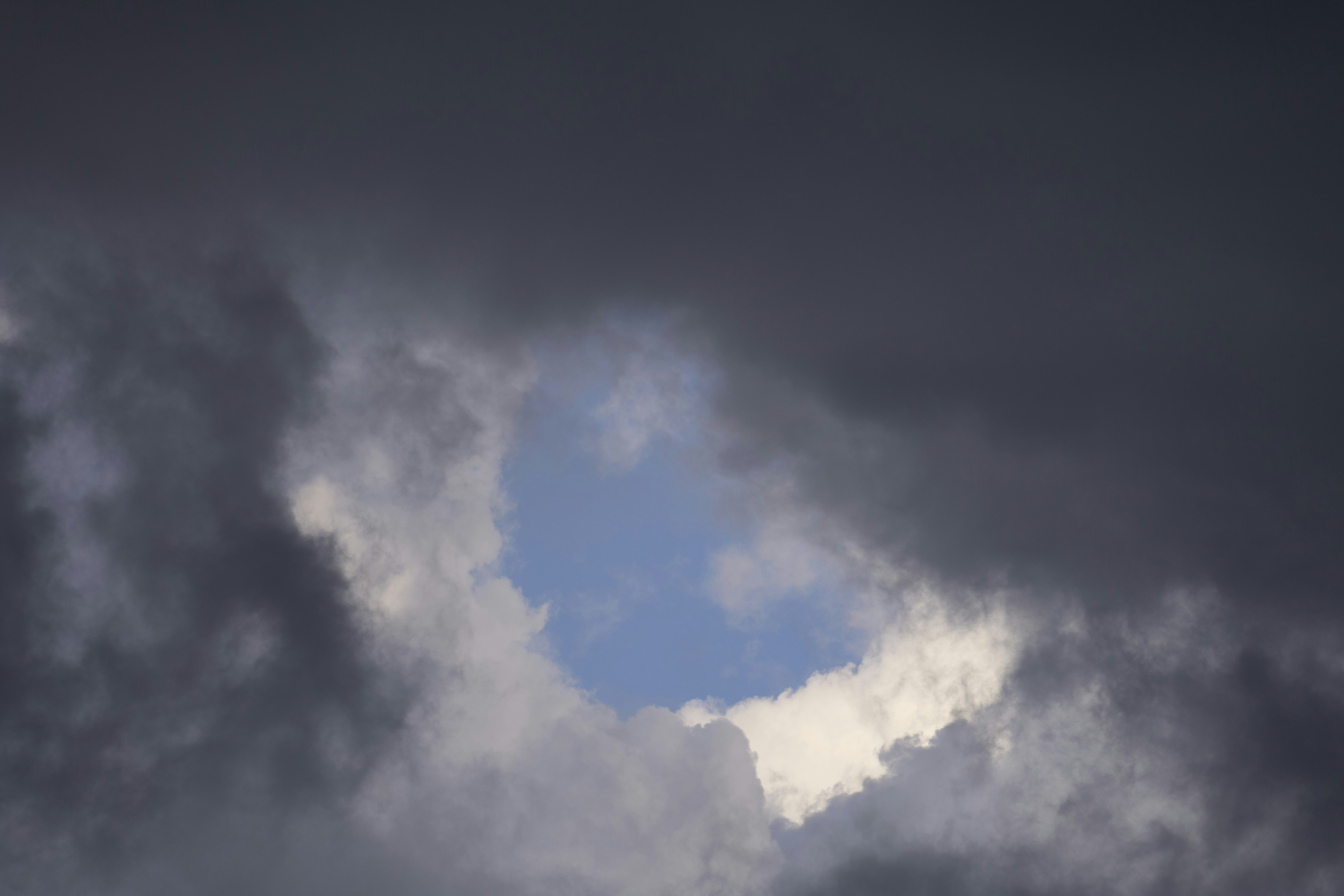 Photo by wolfgang_hasselmann