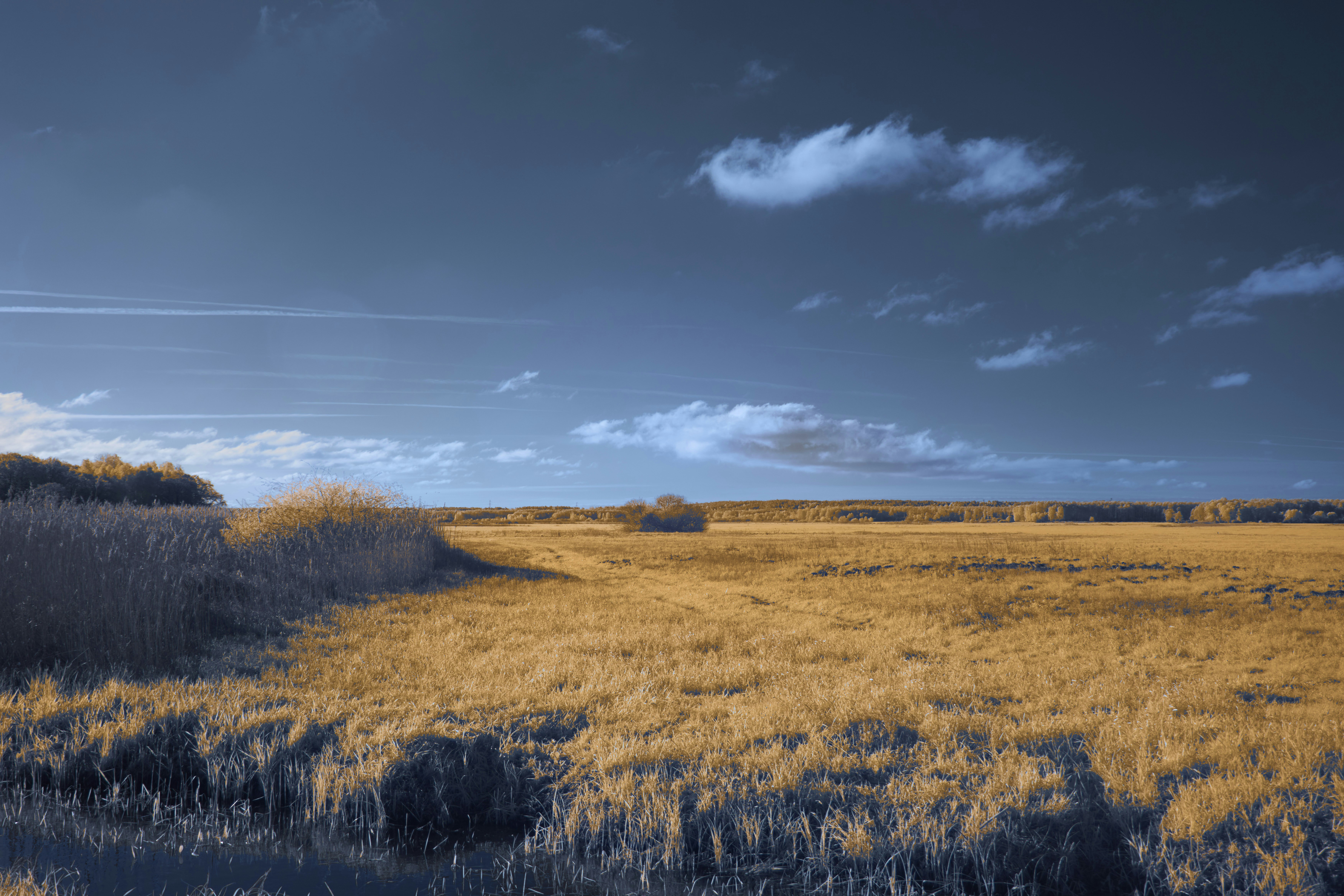 Photo by wolfgang_hasselmann