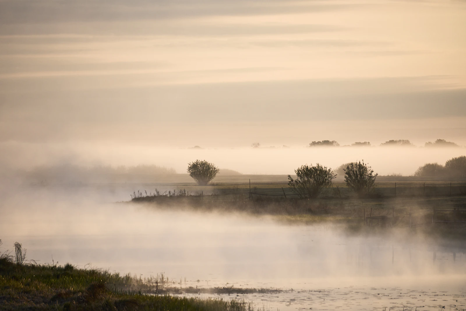 Mist rising off a tailwater run at first light — the kind of cold, overcast morning that turns on the fall BWO hatch