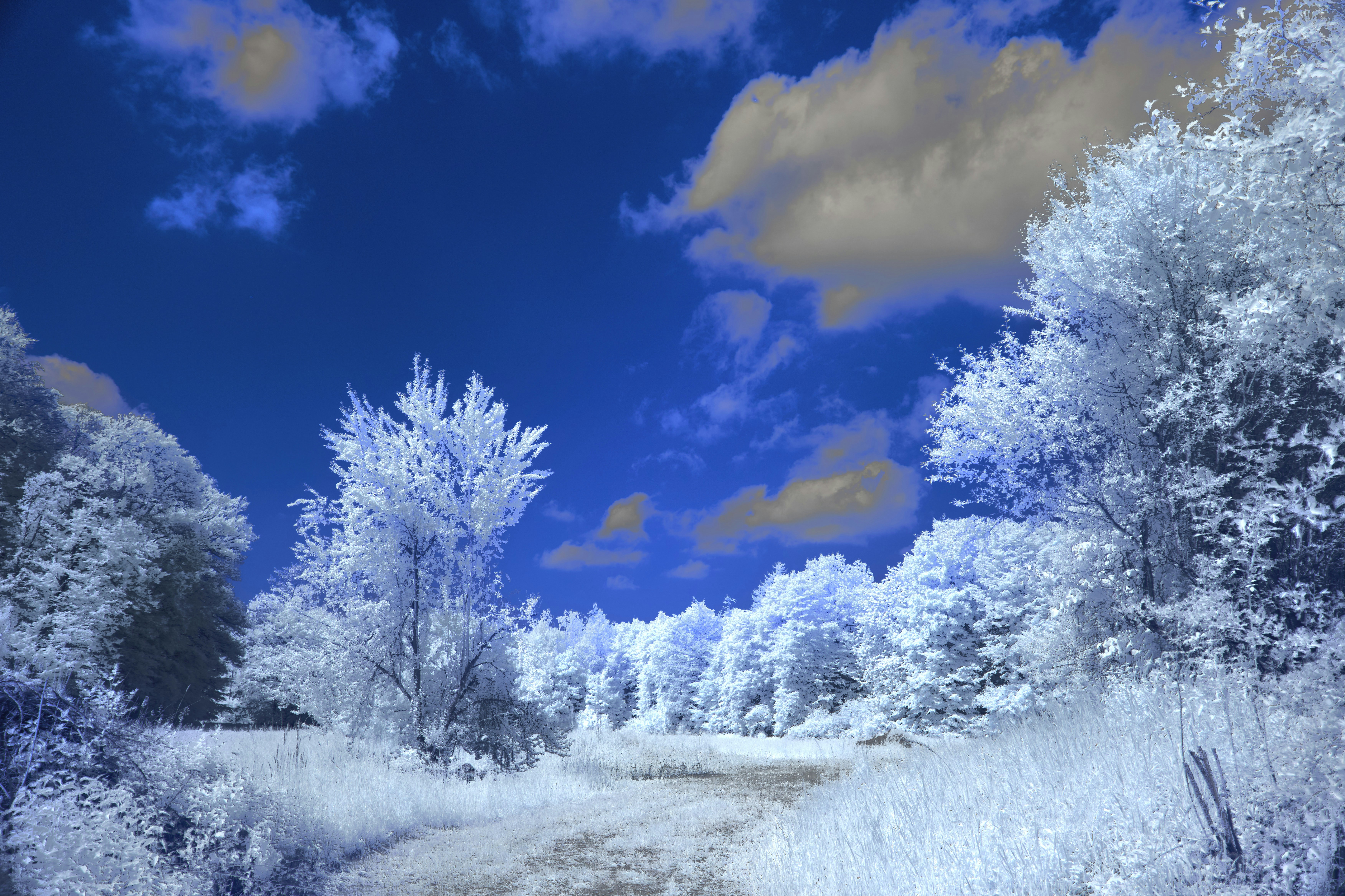 Photo by wolfgang_hasselmann