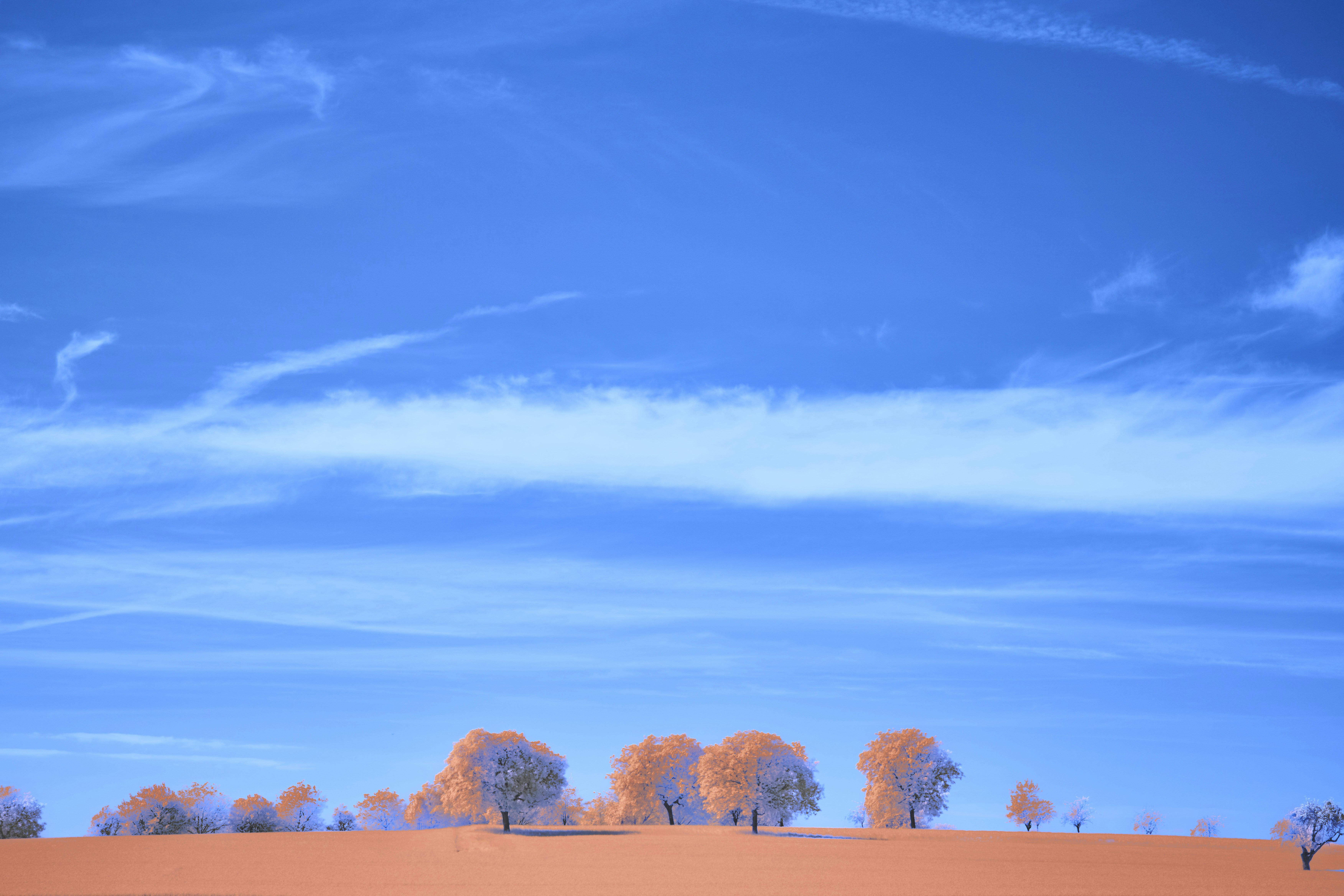 Photo by wolfgang_hasselmann