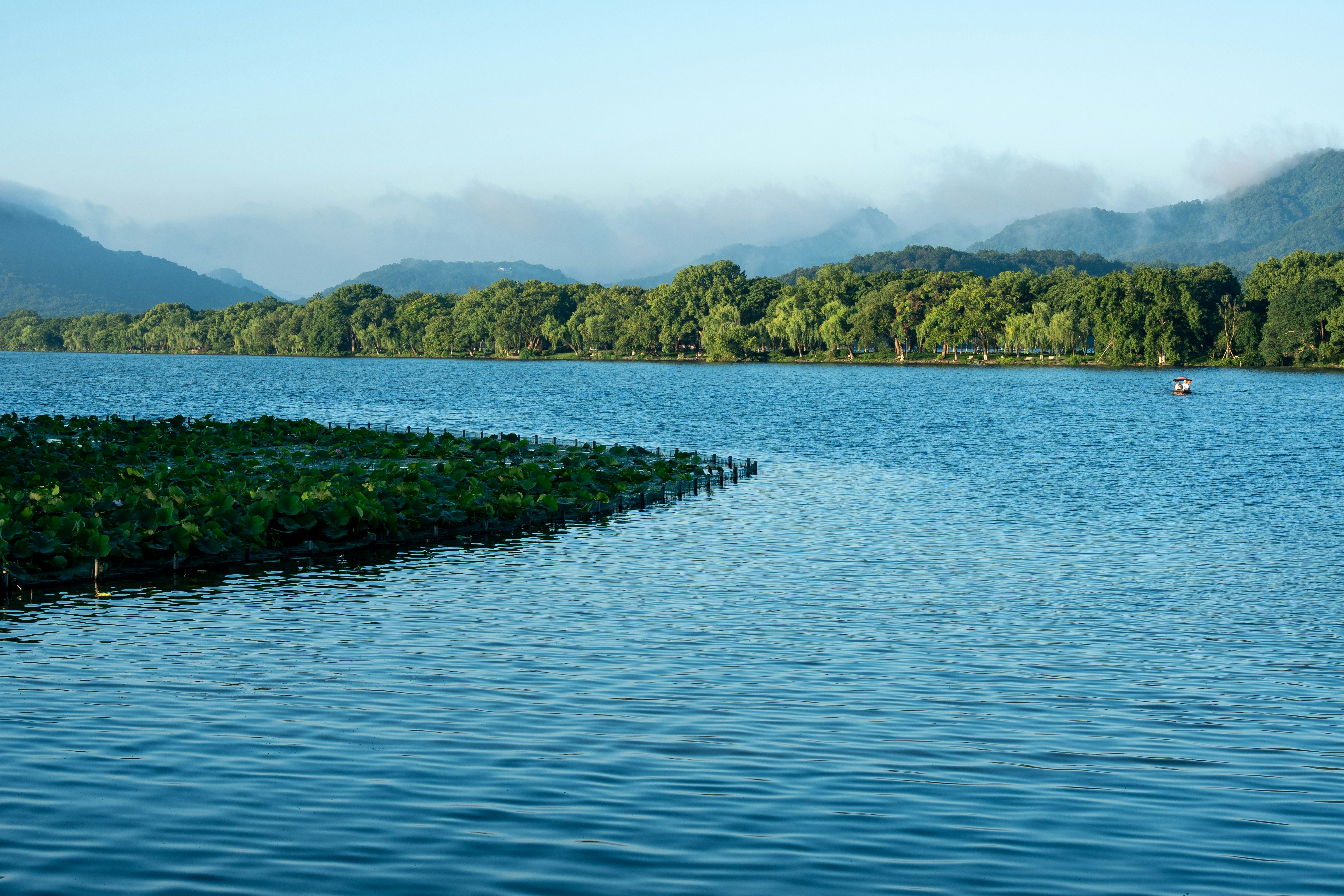 Photo by slow_monkey_69