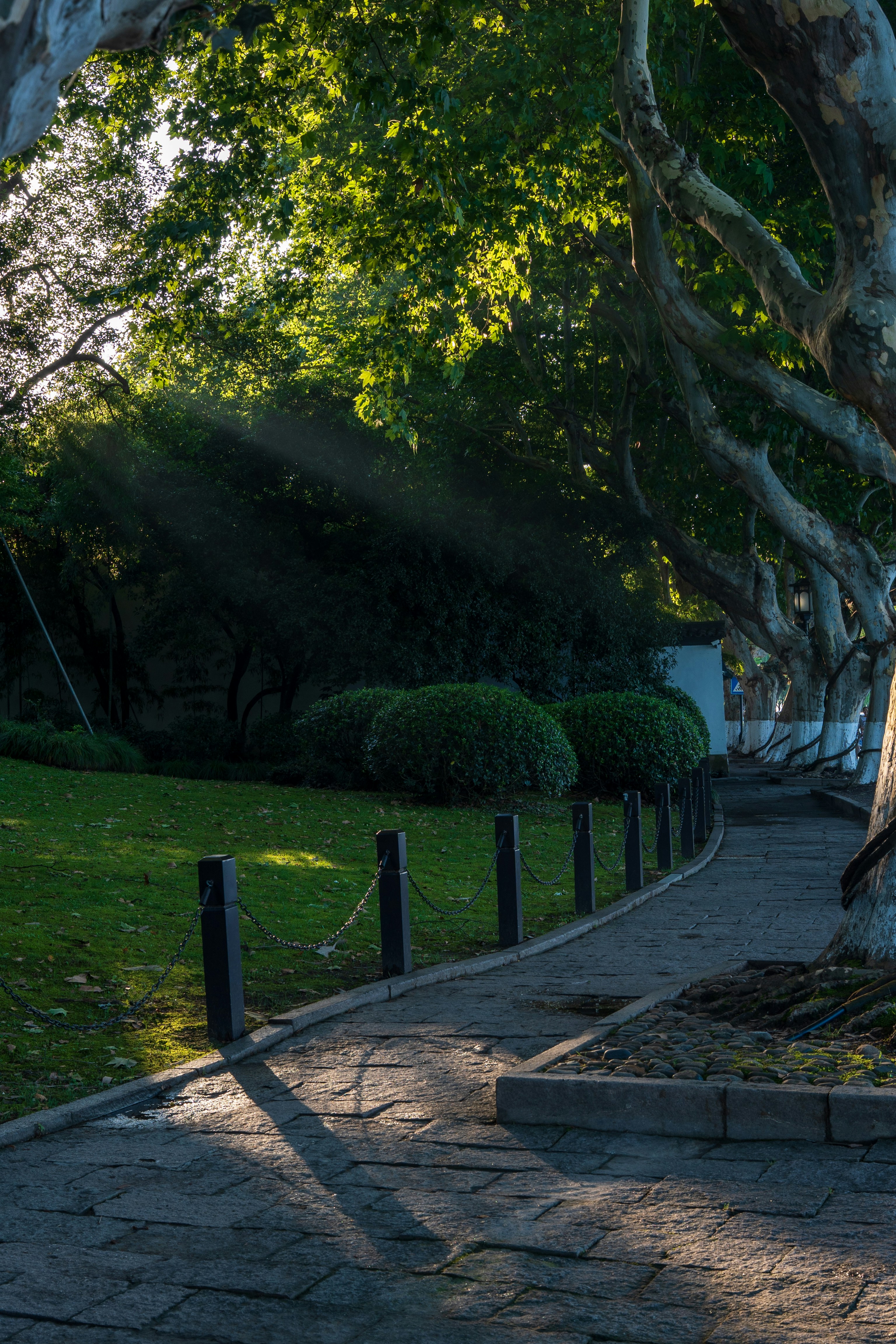 Photo by slow_monkey_69