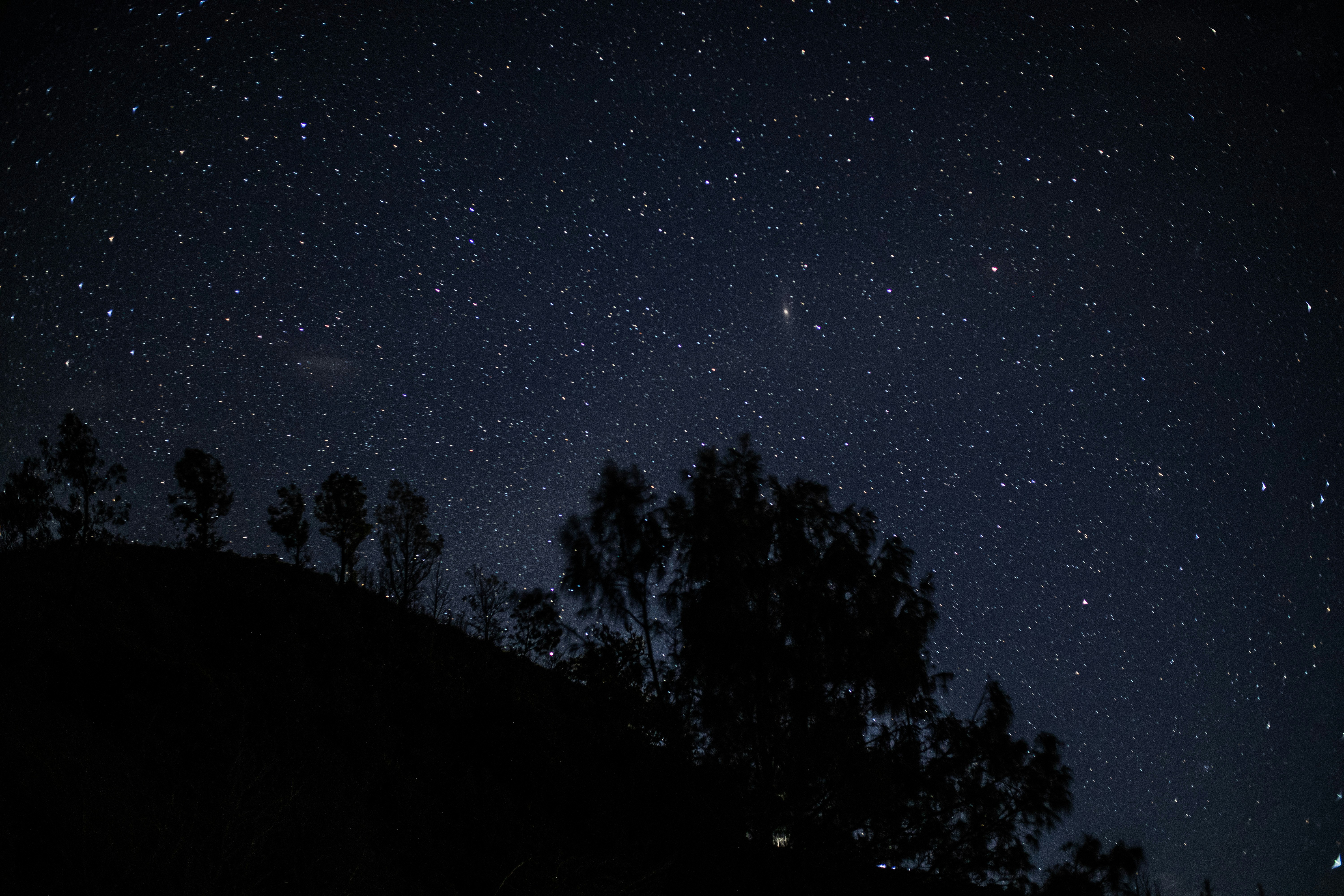 Photo by fadhilanurhakim