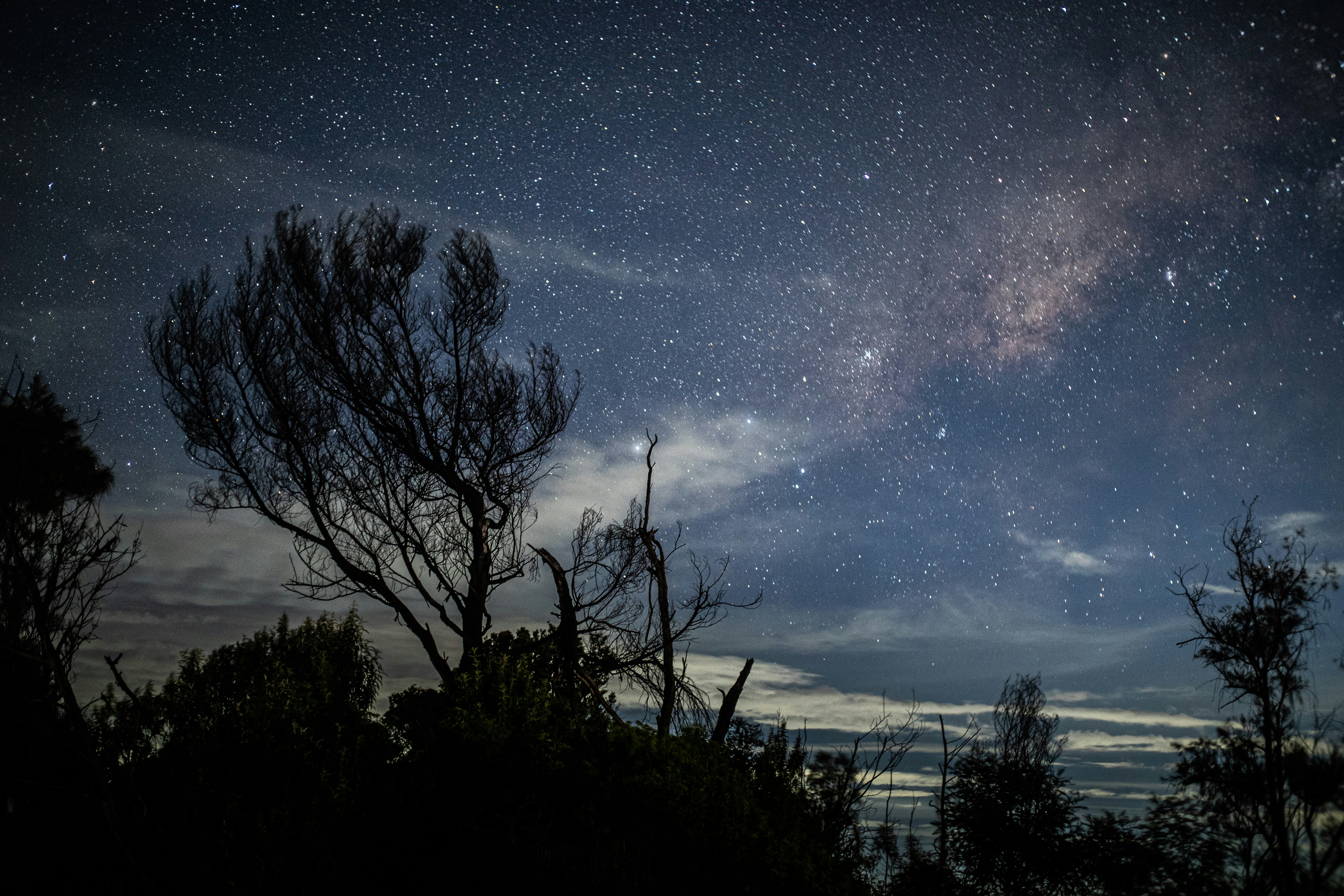 Photo by fadhilanurhakim