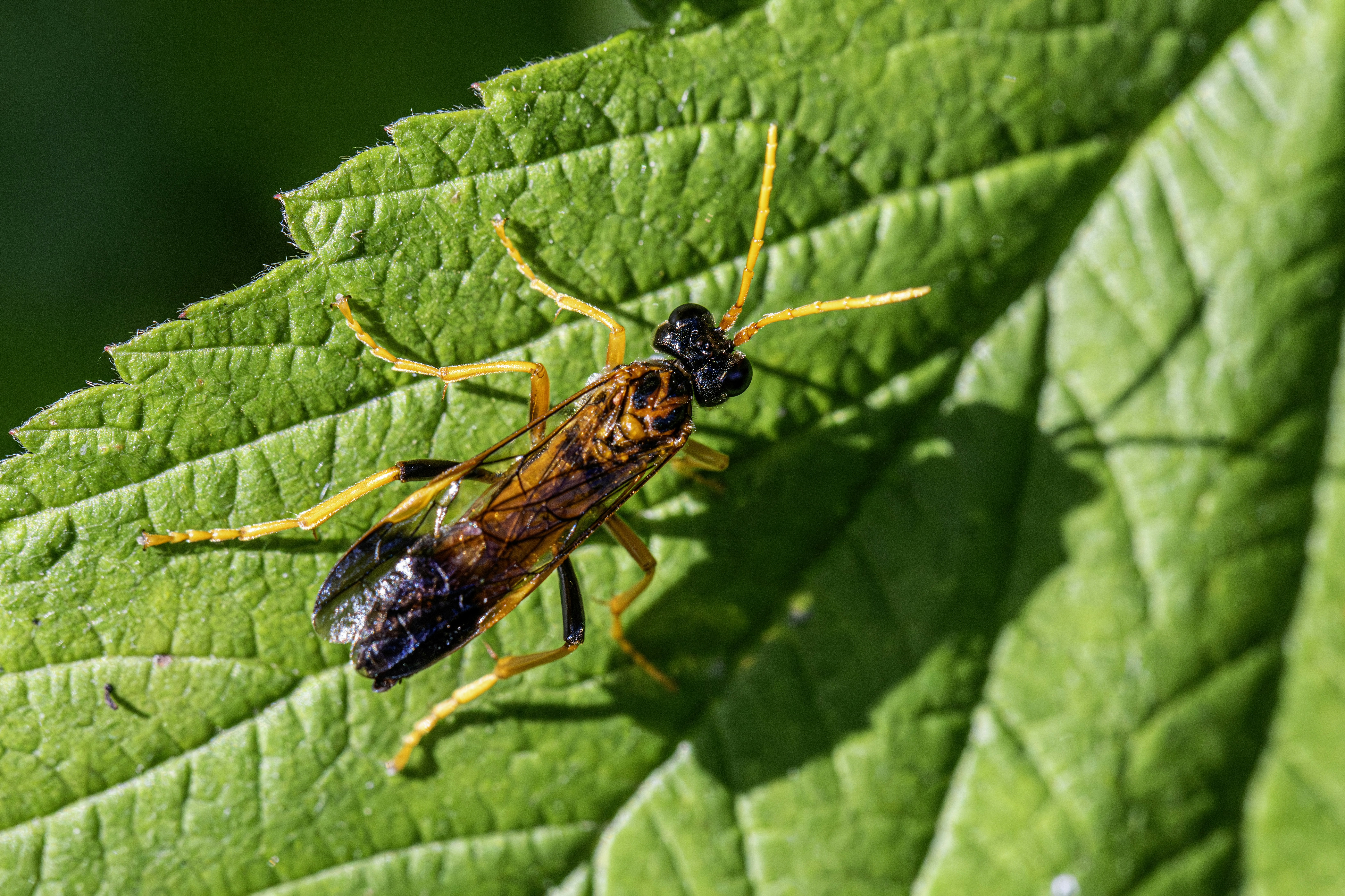 Photo by erik_karits