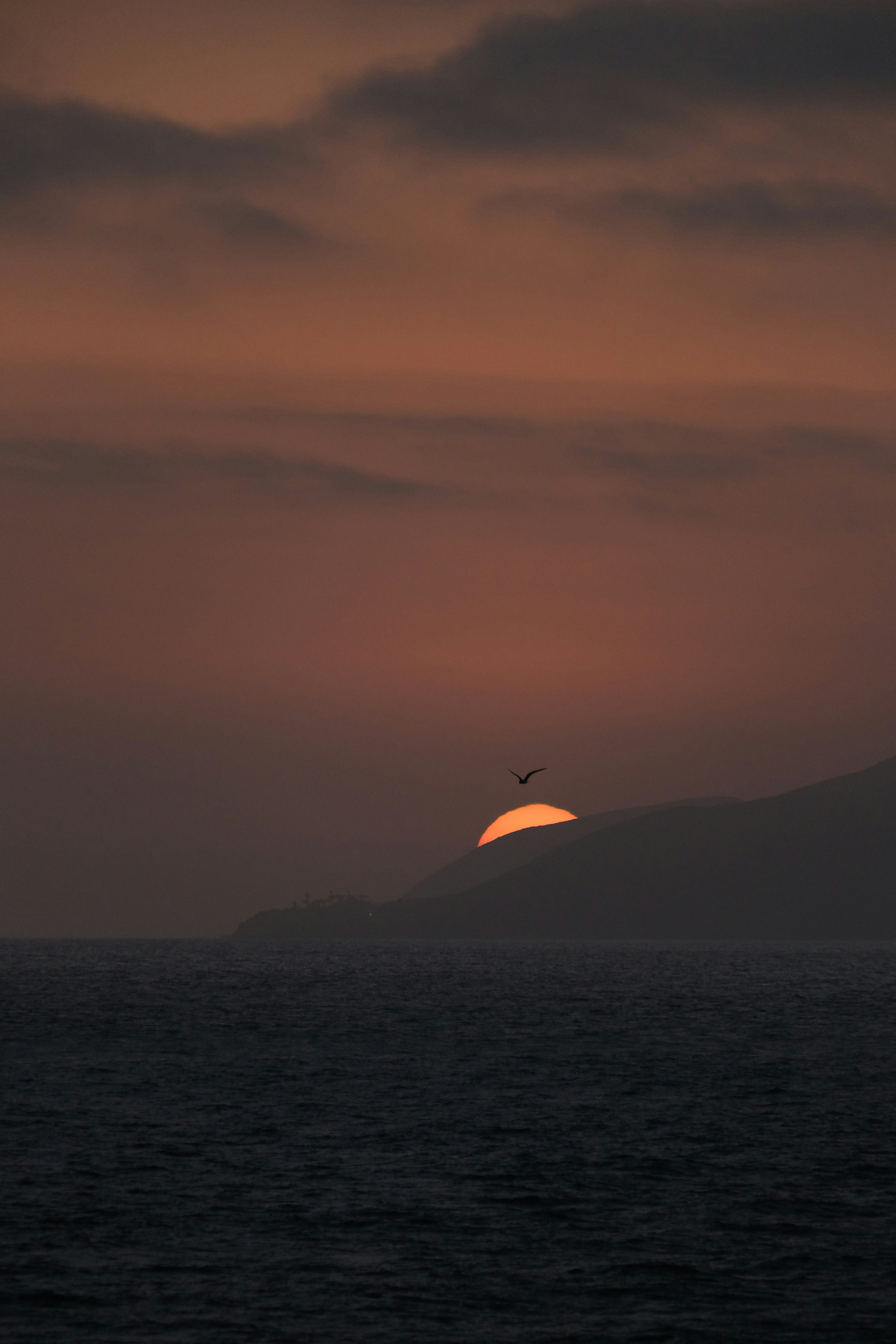 Photo by saint_daemon