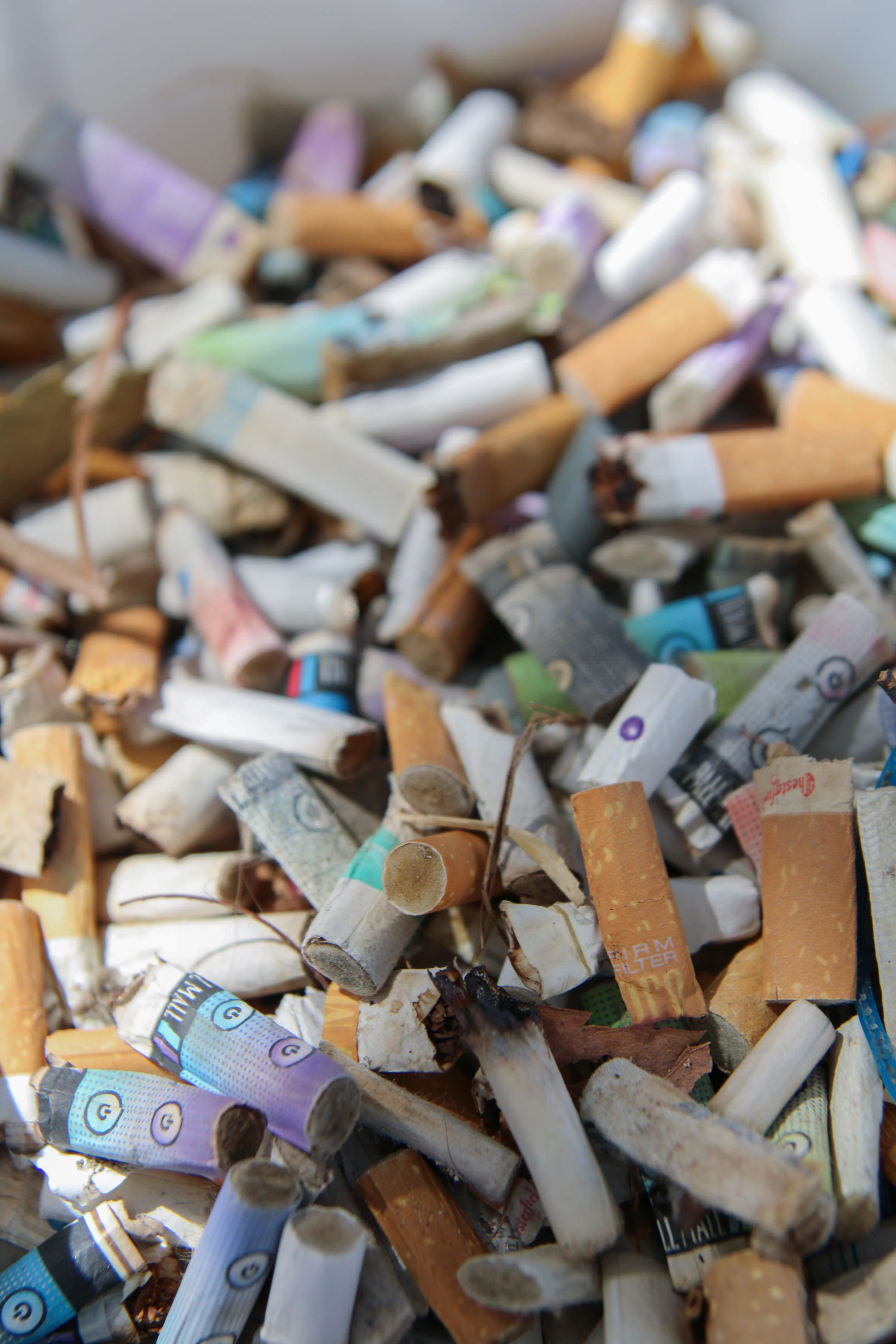 pile cigarette A of cigarettes and cigarettes in a pile photo Free Brown Image on Unsplash smoking cigarettes from the ground