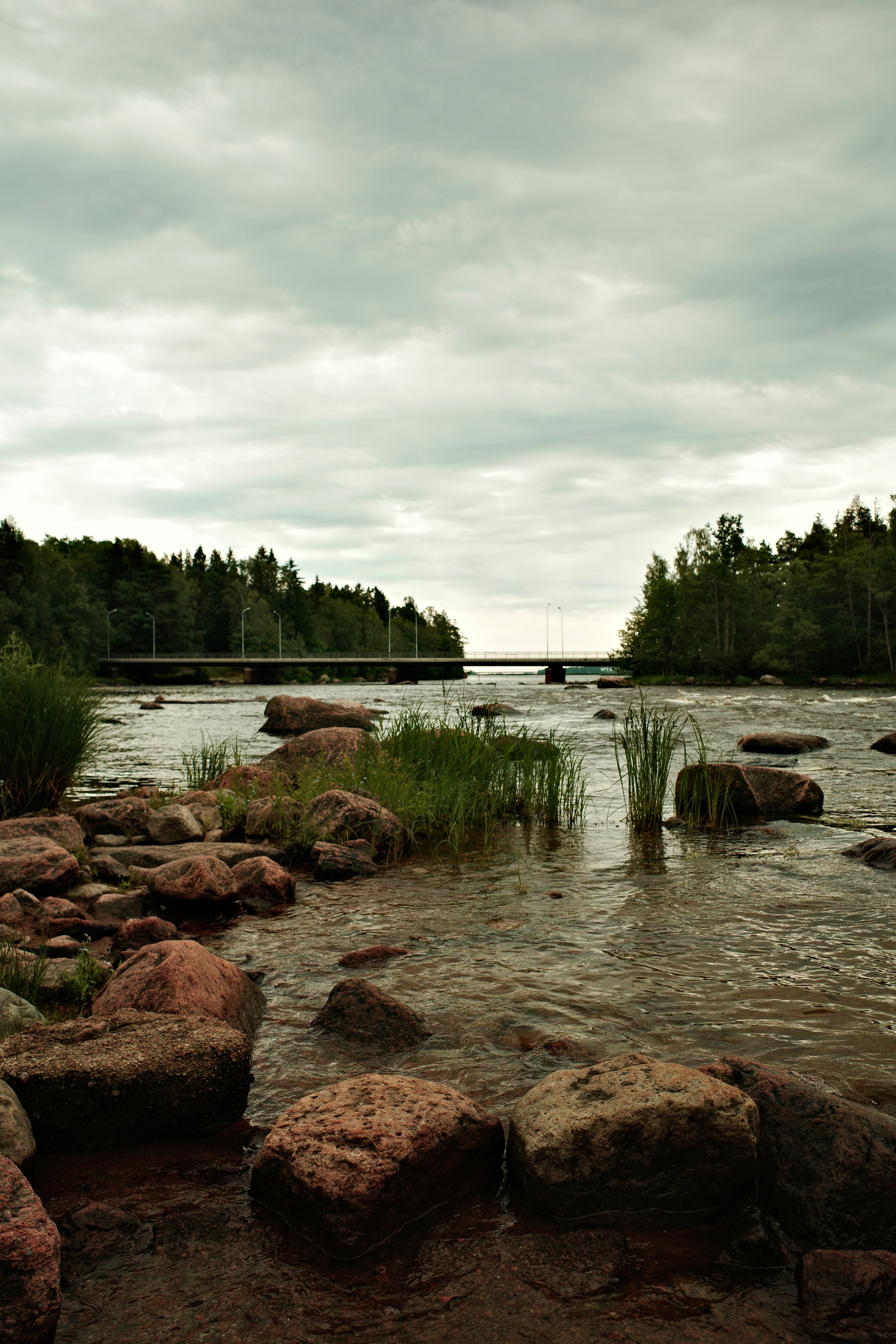 Photo by janifreelancing