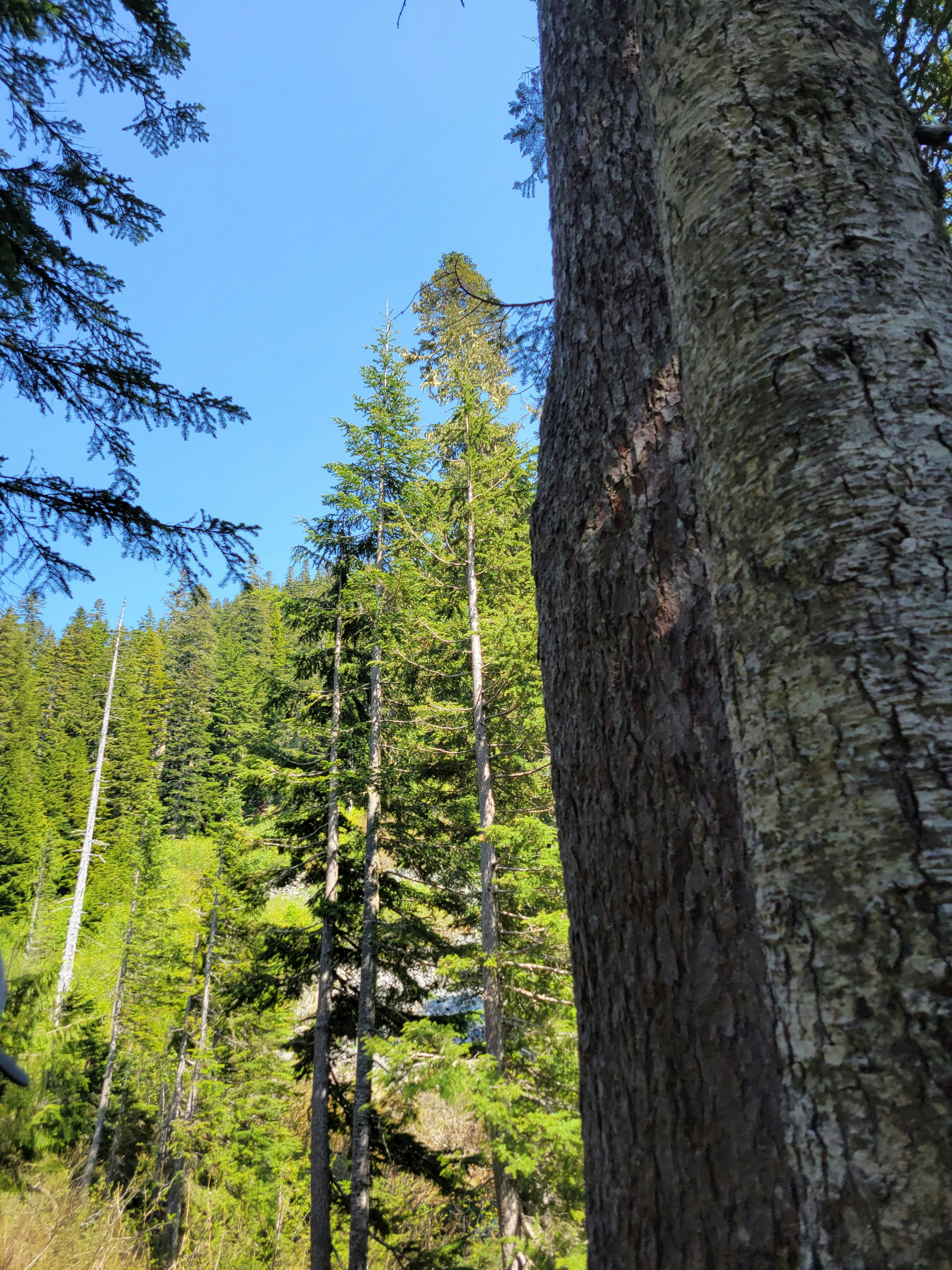 Photo by haripriya_k