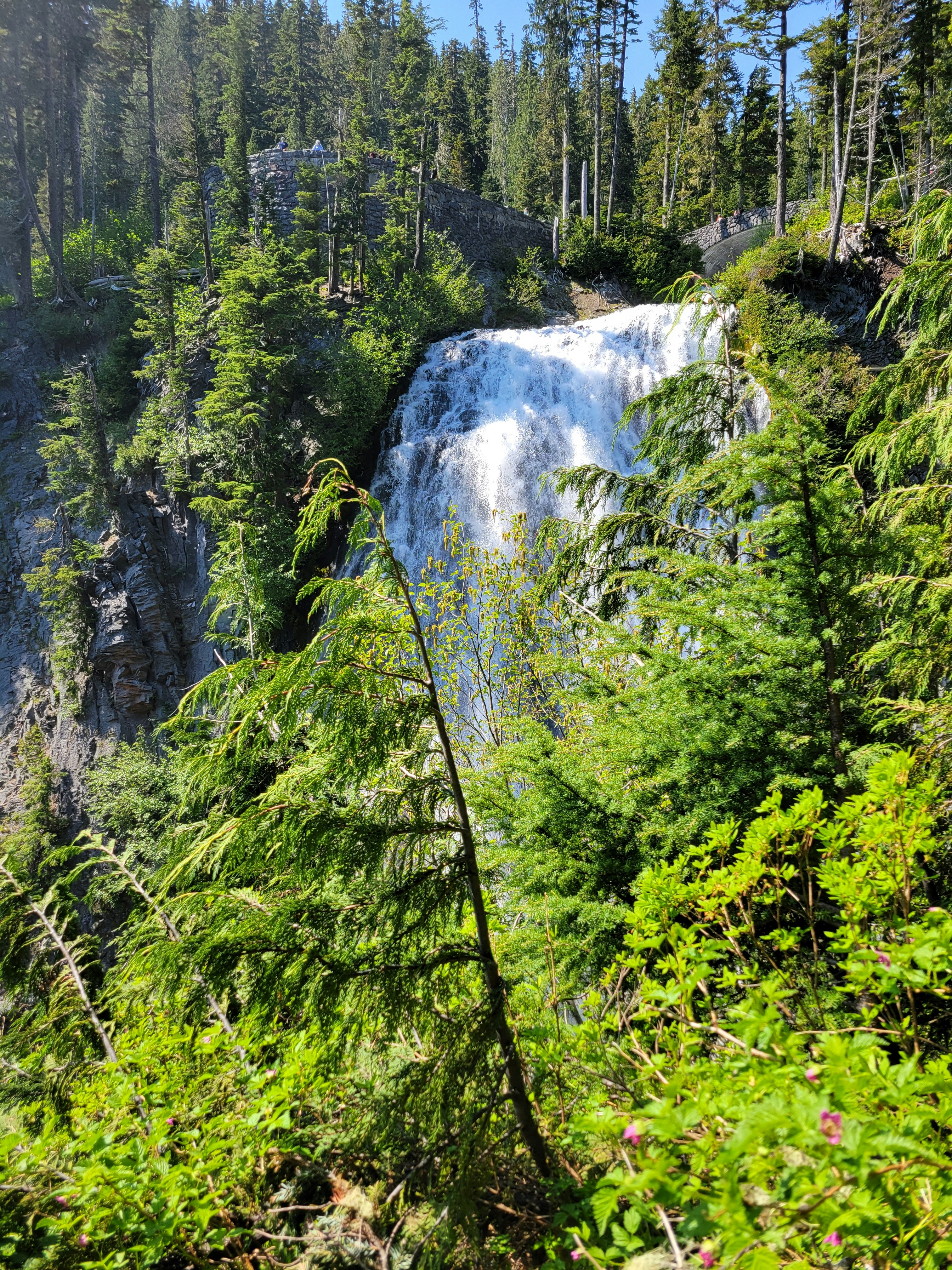 Photo by haripriya_k