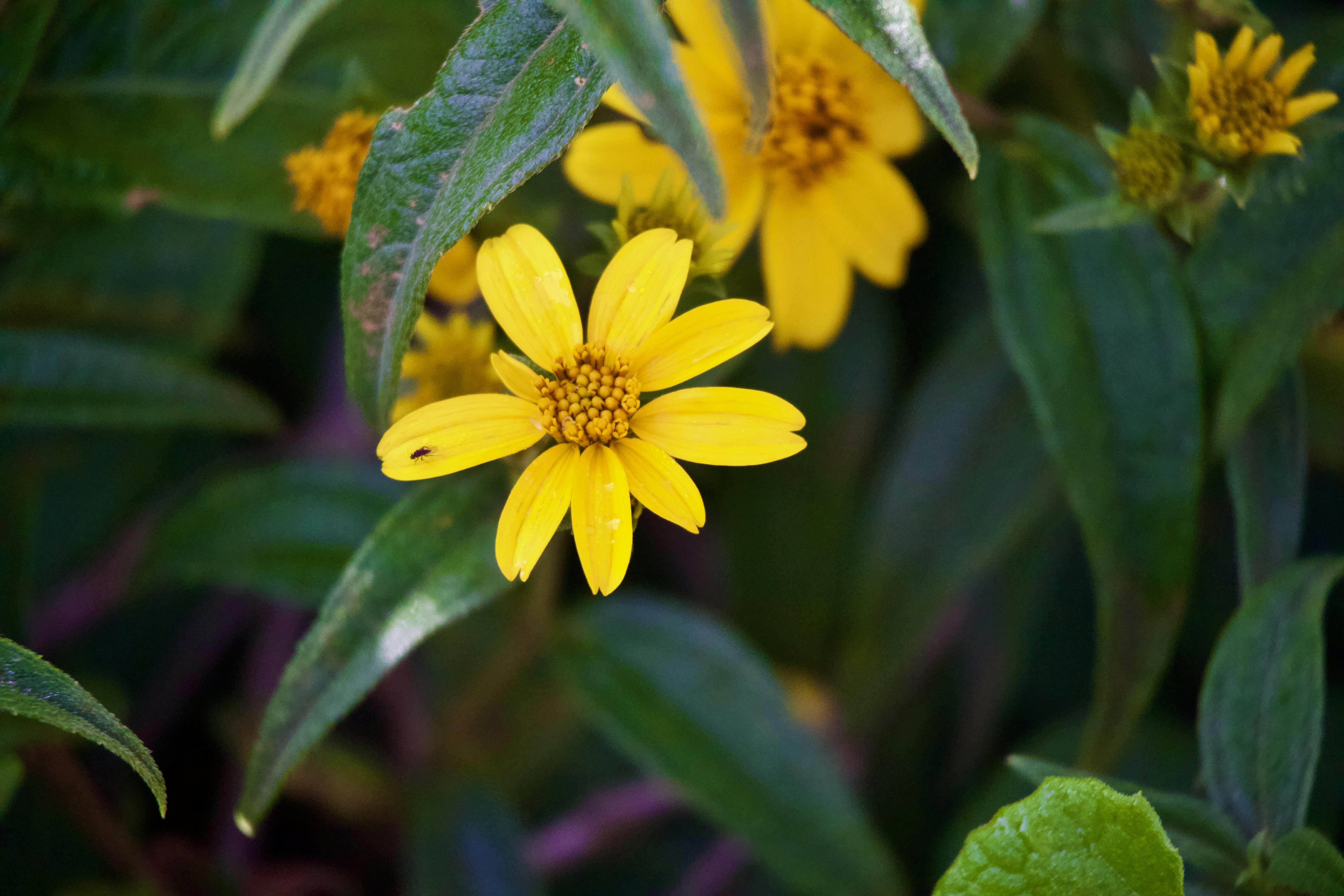 Photo by wilsonsharpshots