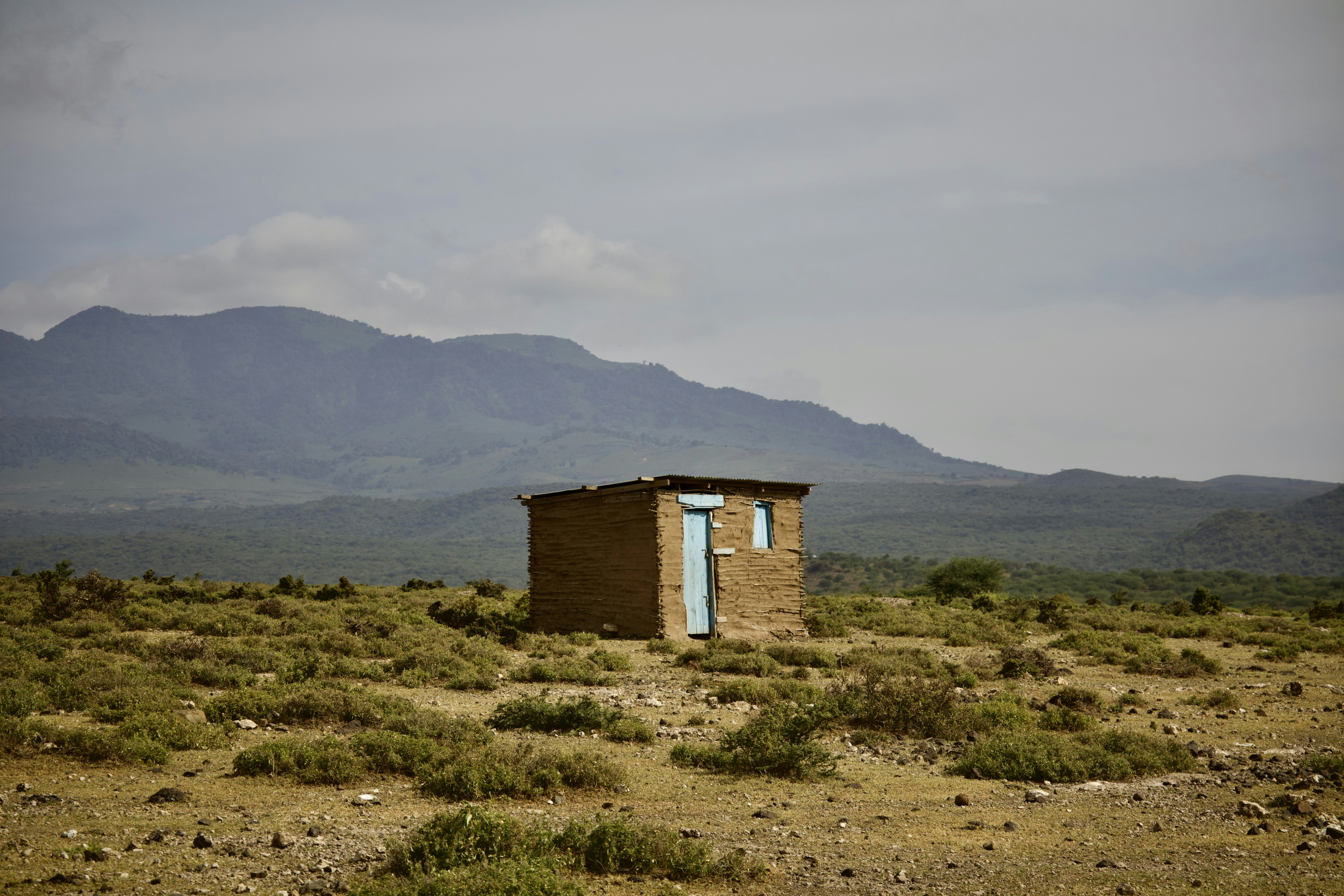 Photo by wilsonsharpshots