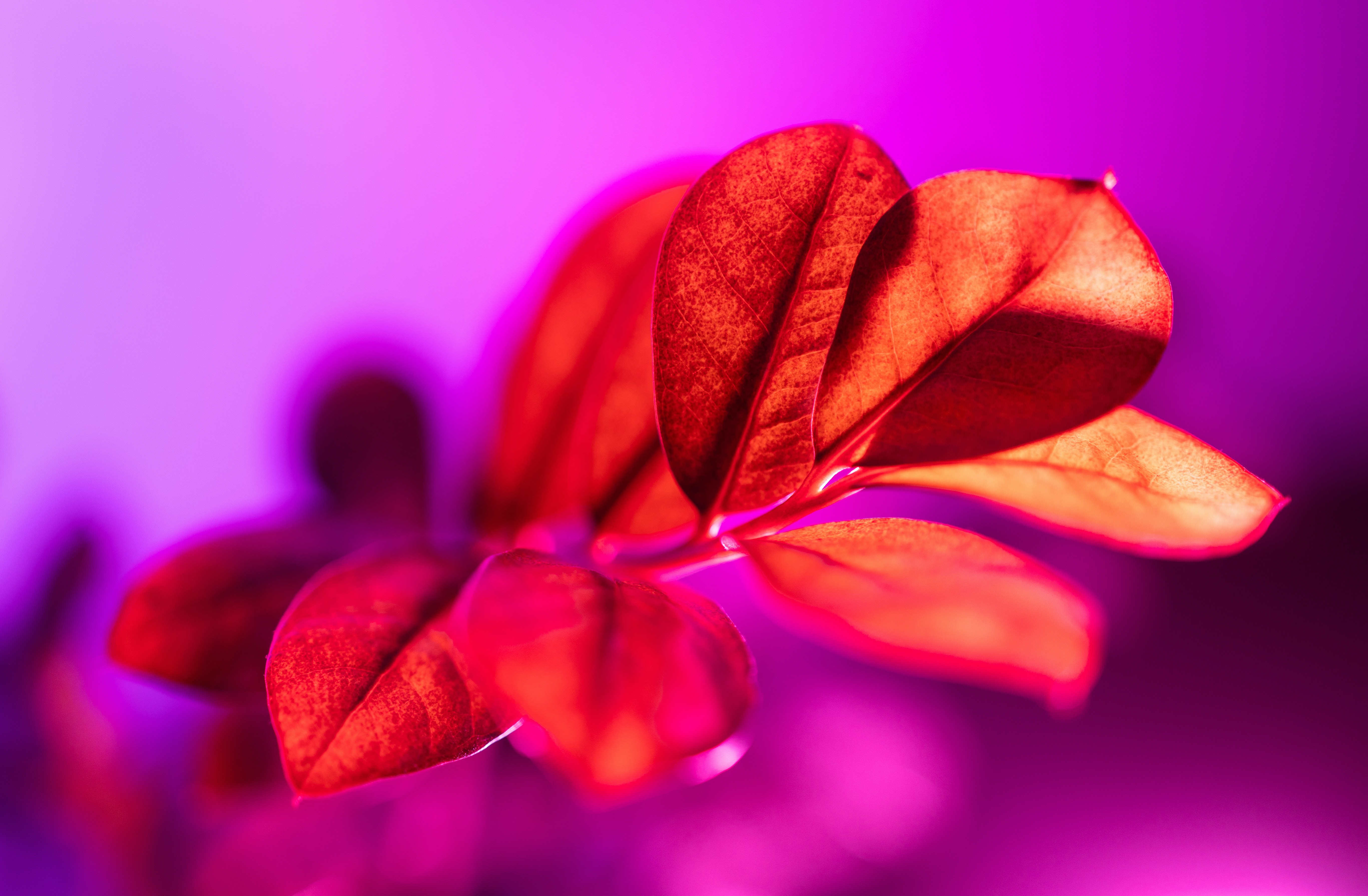 Photo by marekpiwnicki