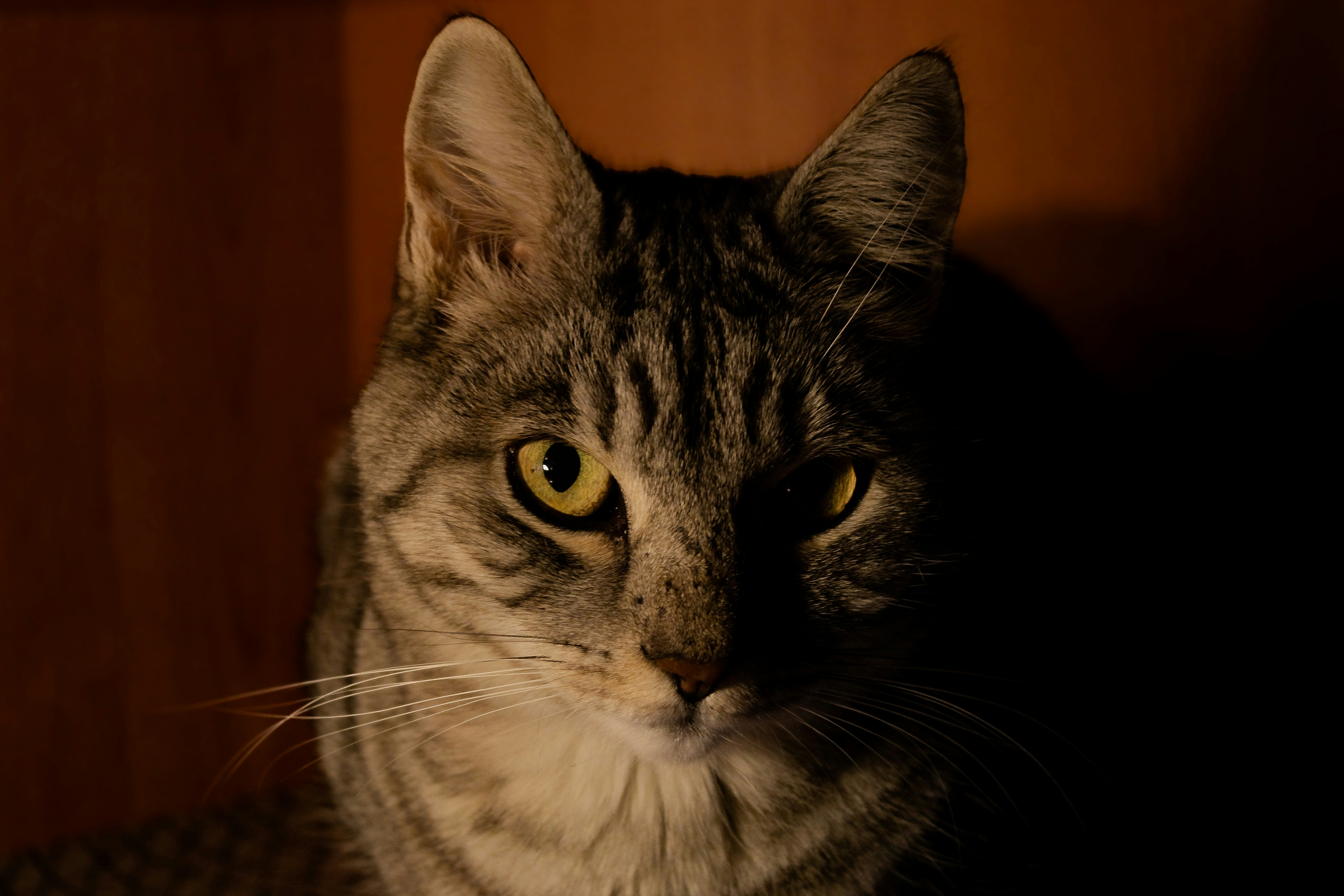 Photo by simonevidon