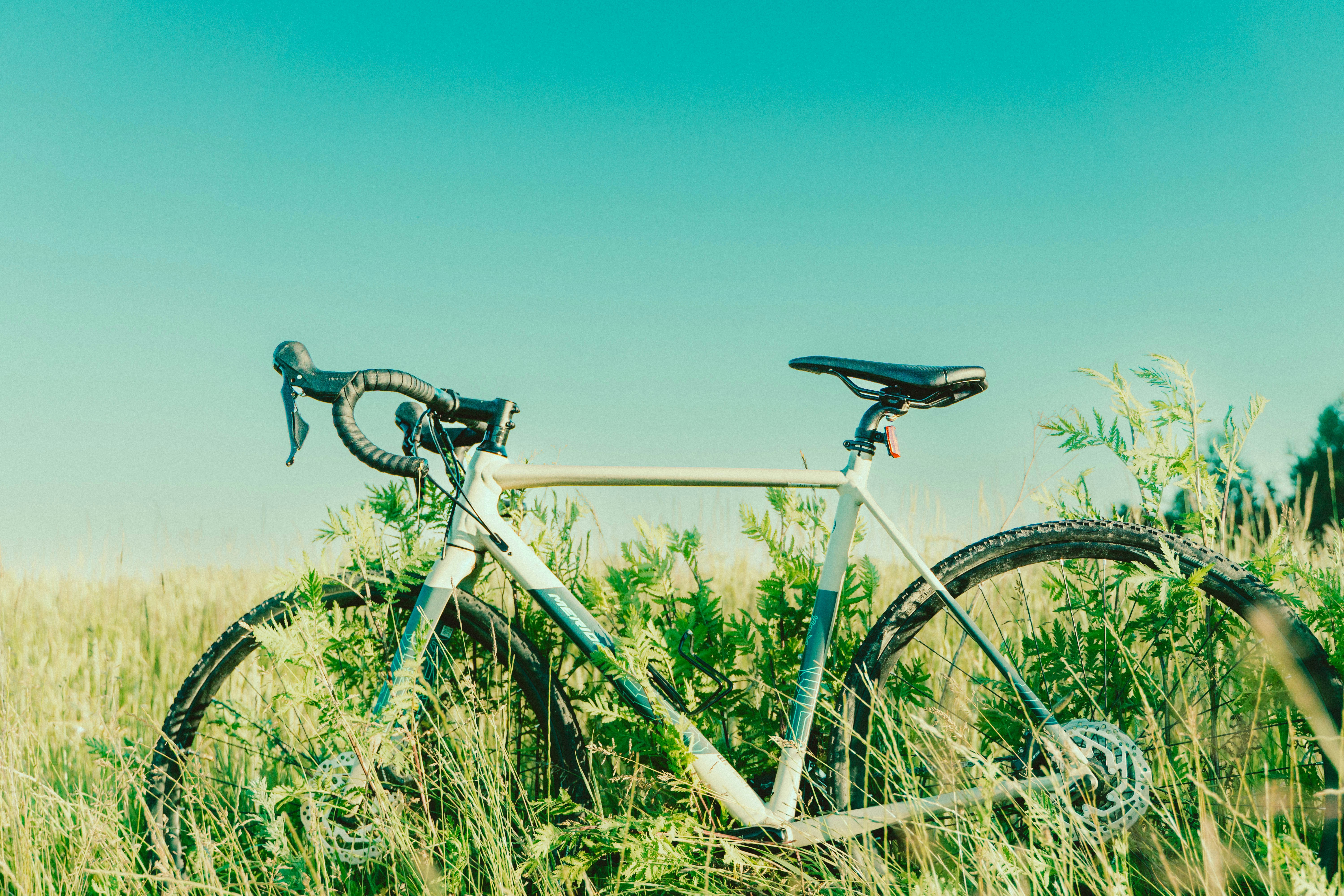 Photo by abalashevsky