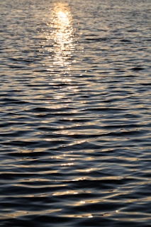Sunlight glistens on the rippling water's surface.