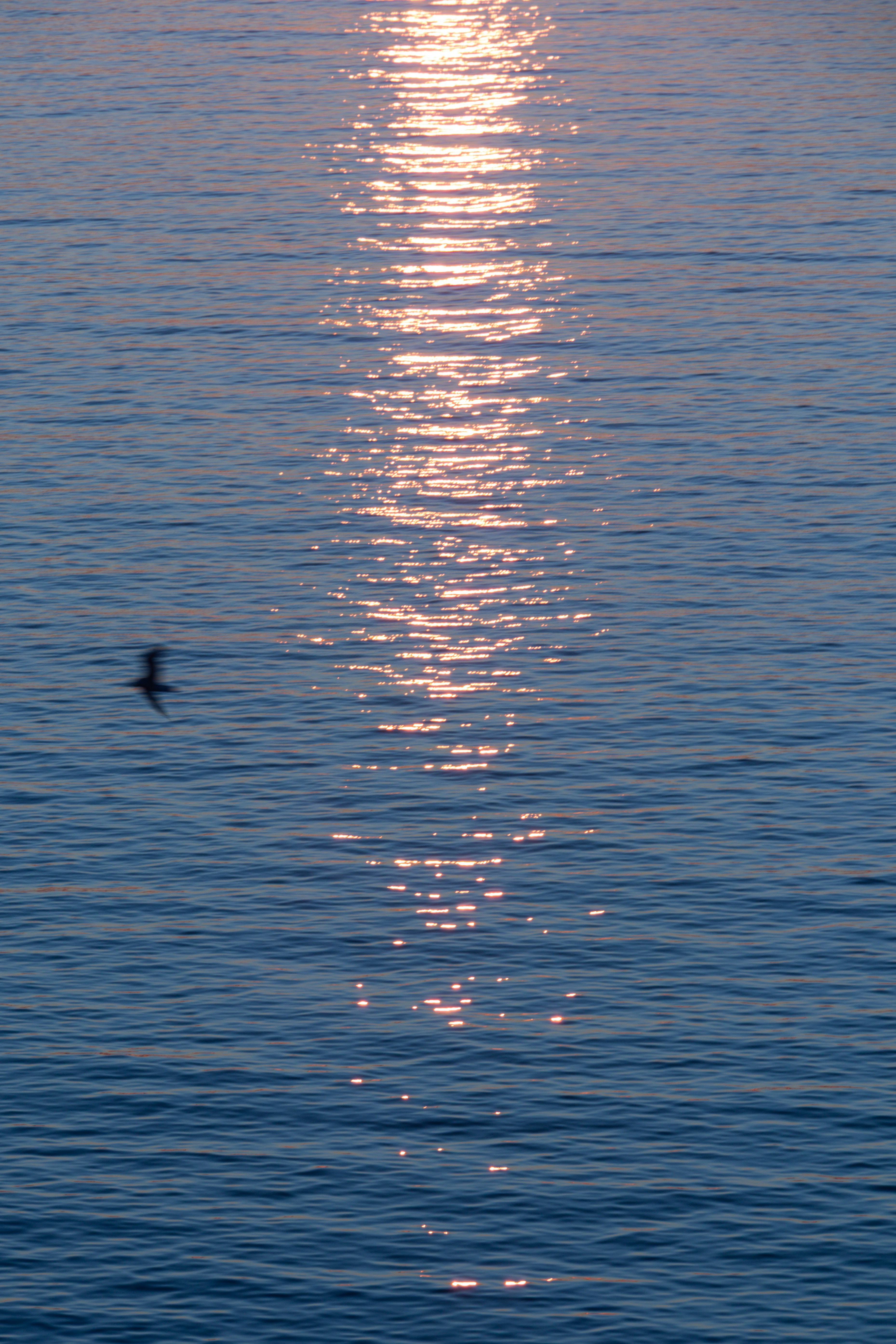 Photo by patrycja_chociej