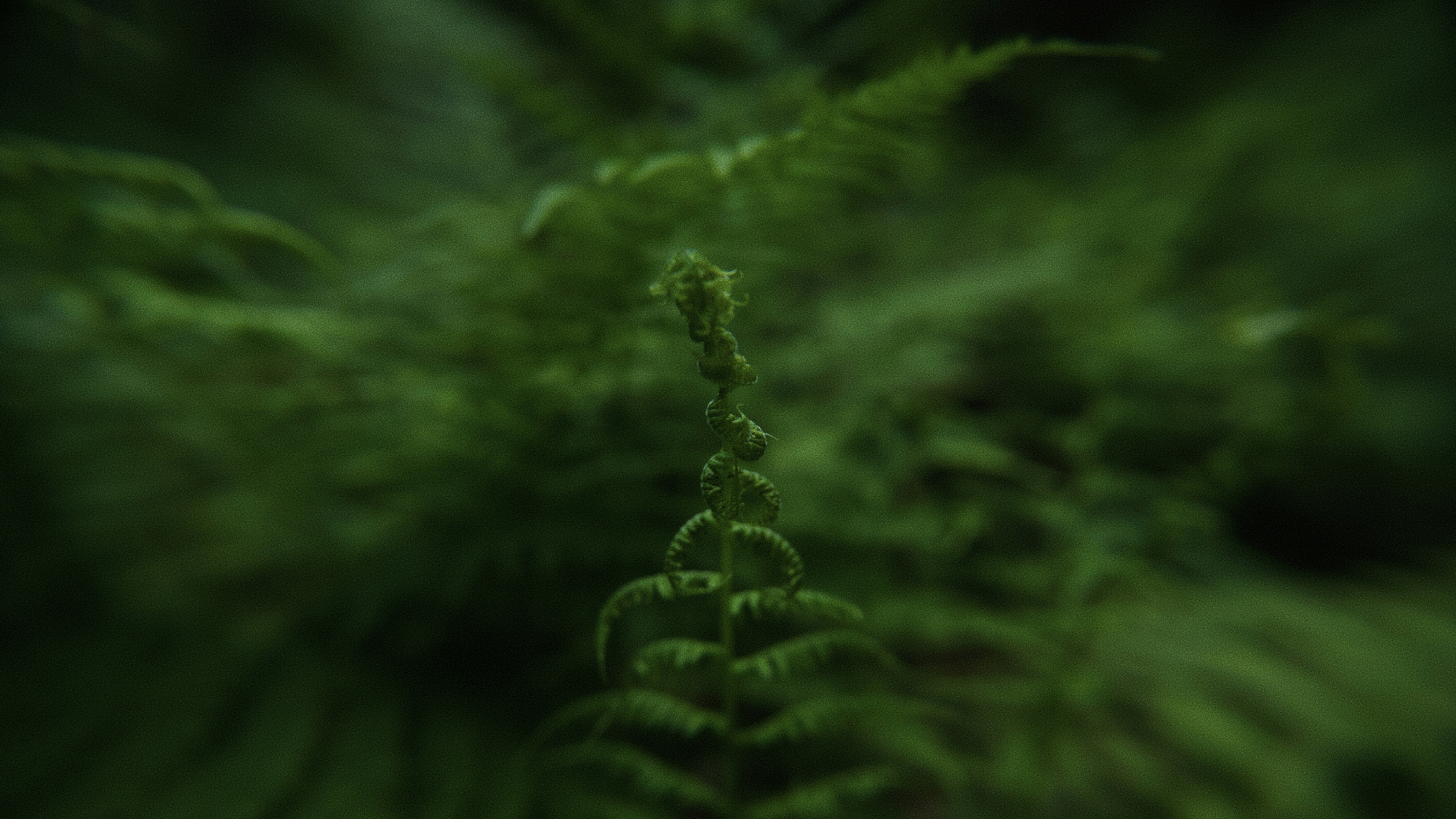 Photo by vadimkaipov