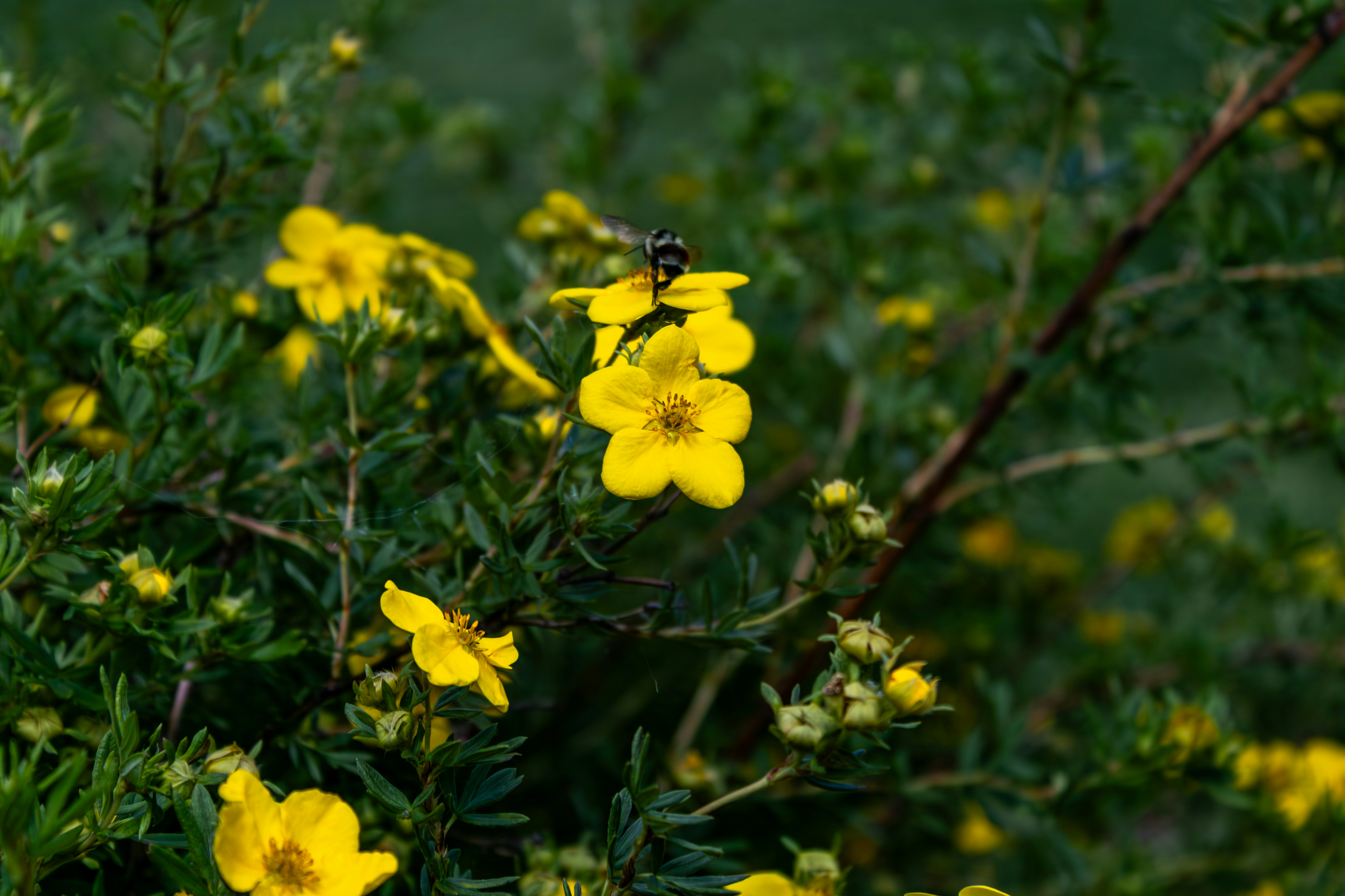 Micro‑Collections, Night Markets and Eco Mats: Building Local Demand for Yoga Gear in 2026