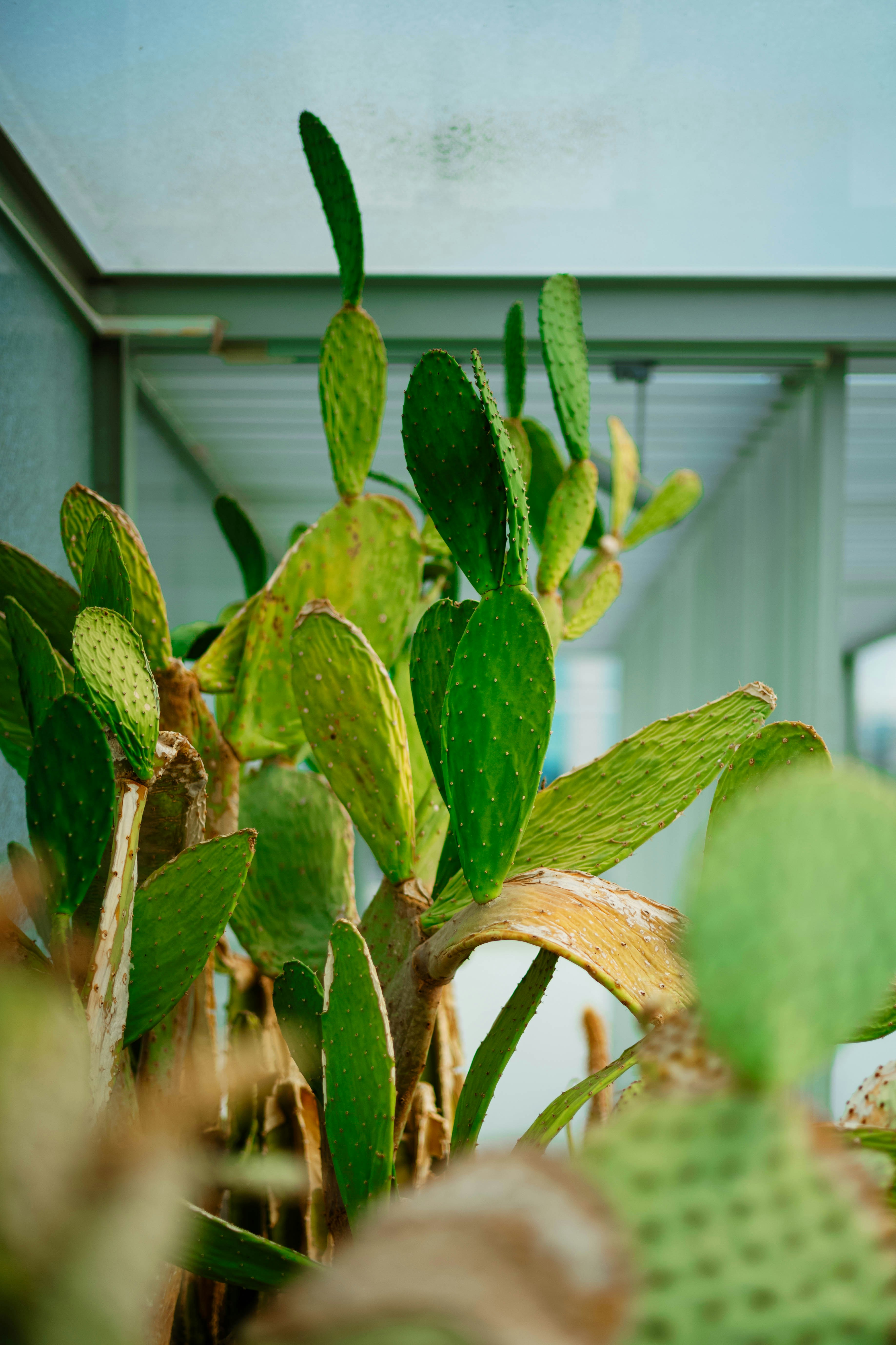 Photo by tommaomaoer