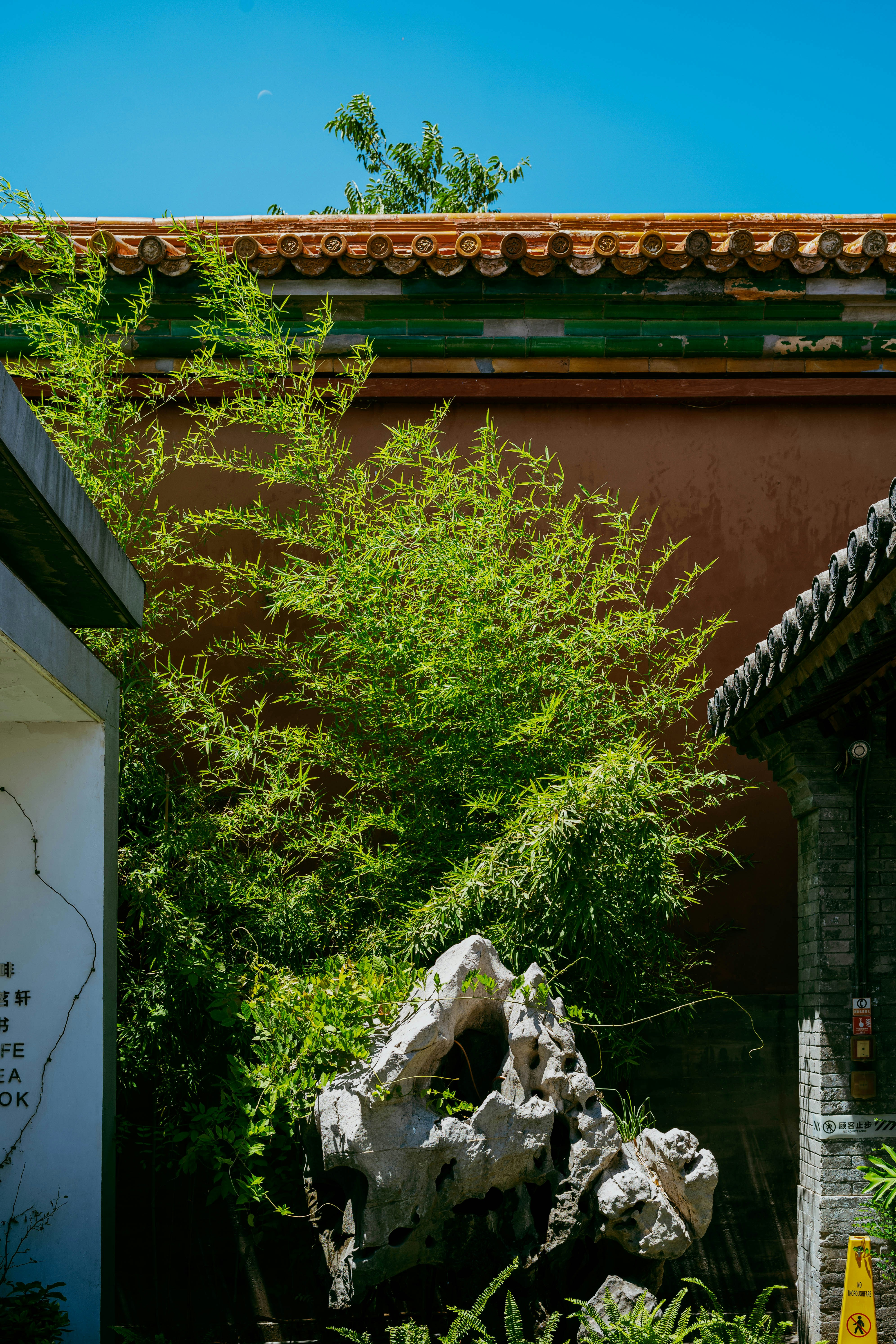 Photo by tommaomaoer