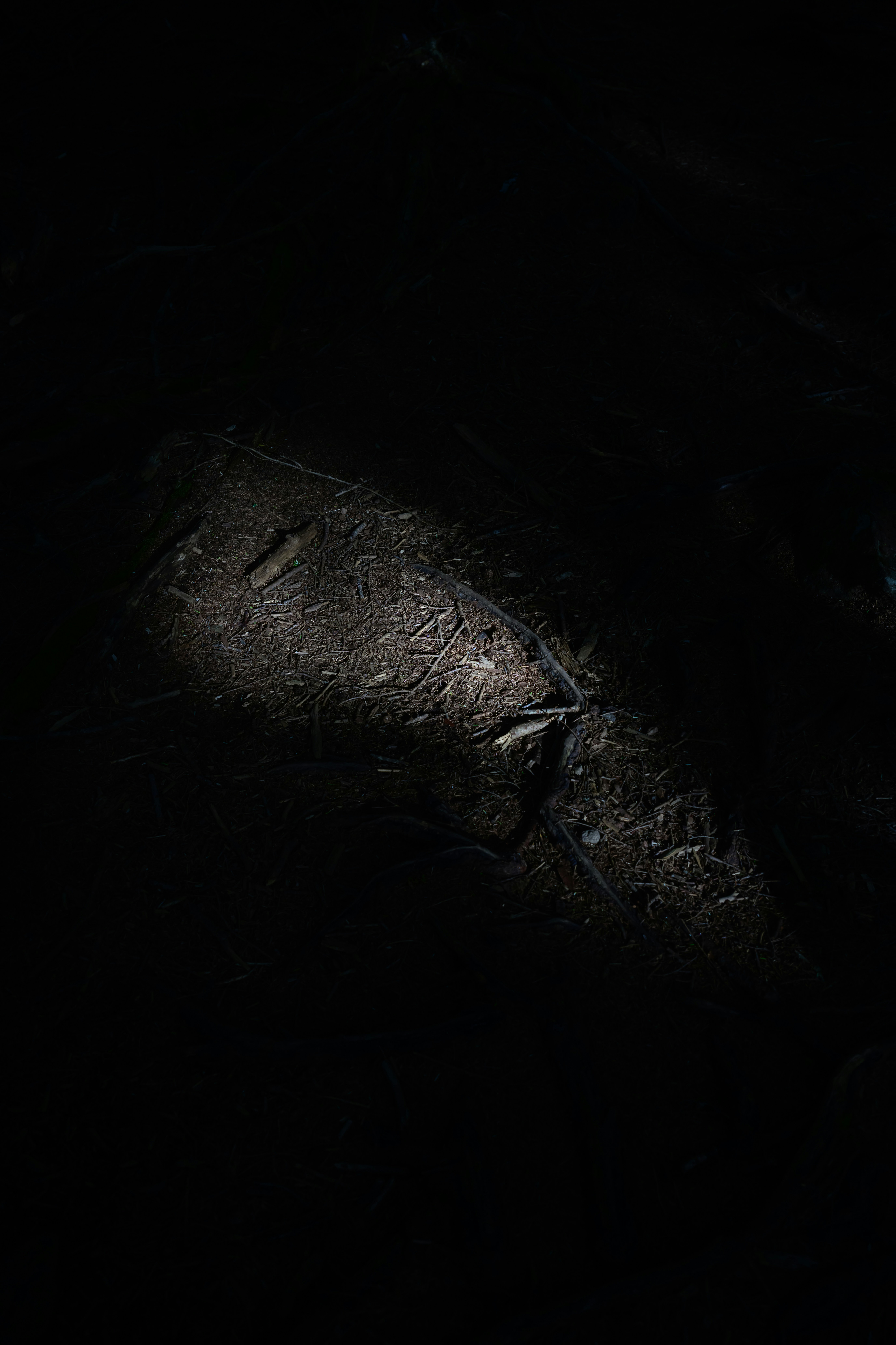 Photo by hayato_no_kiroku