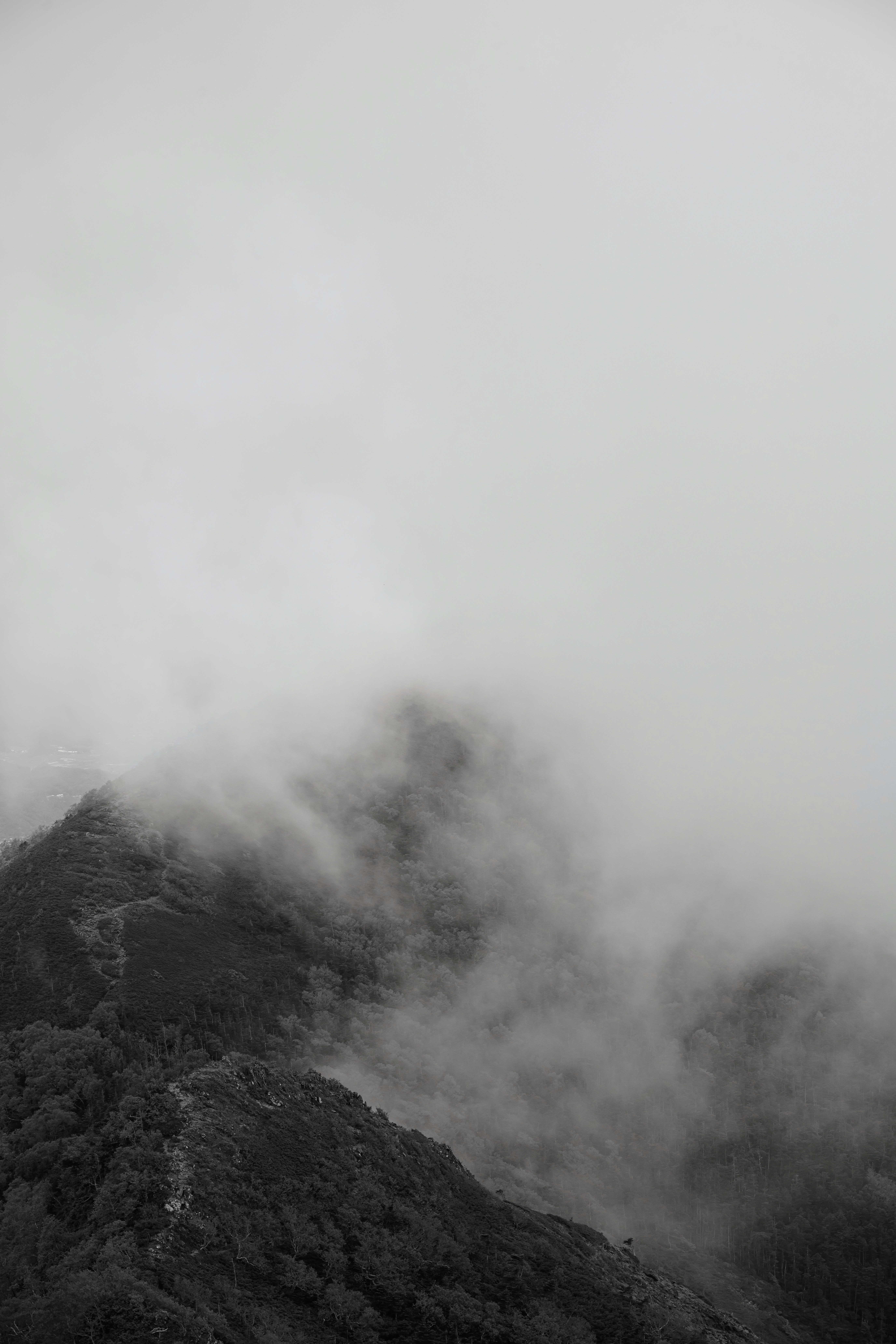 Photo by hayato_no_kiroku