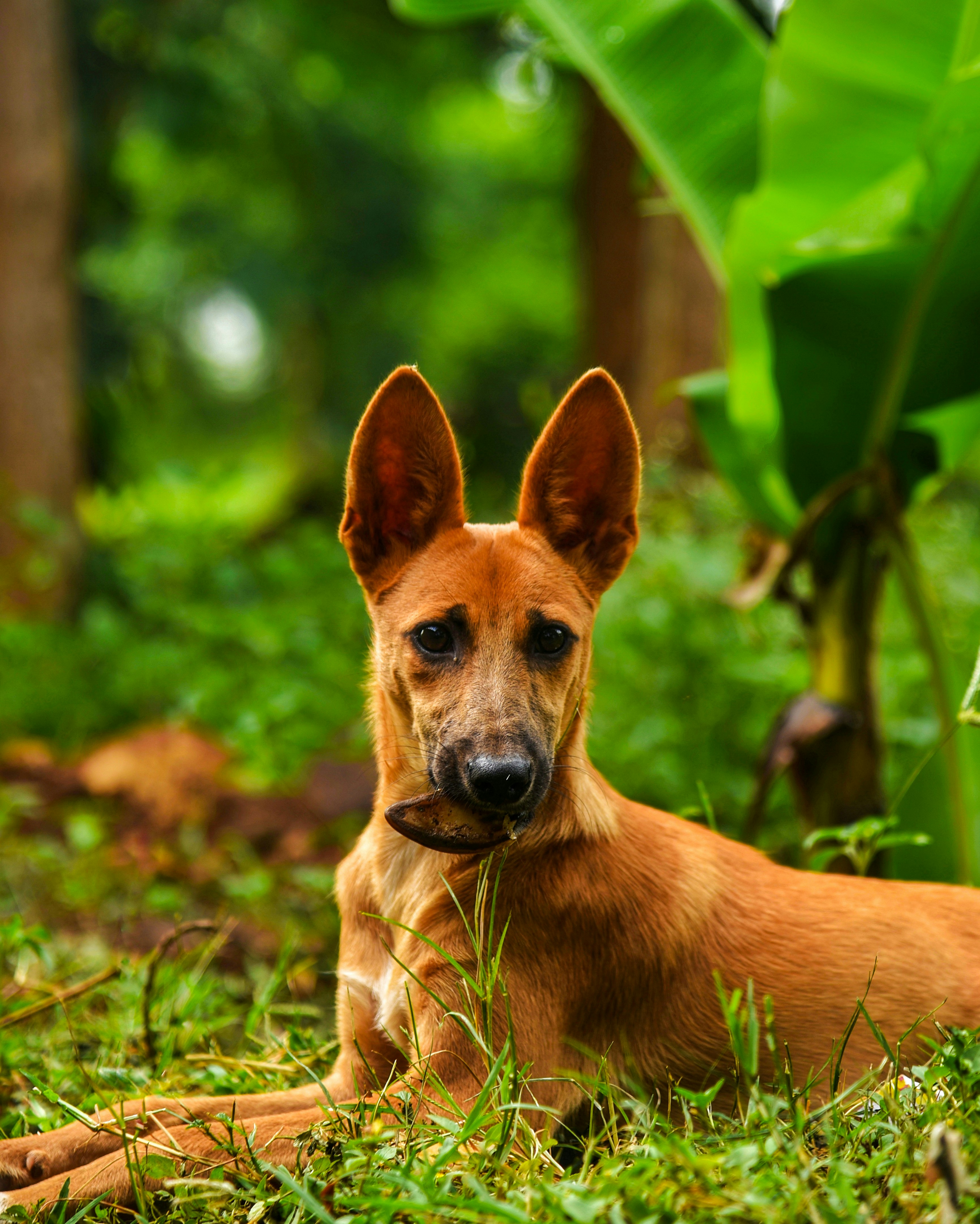 Photo by ojijohammilton