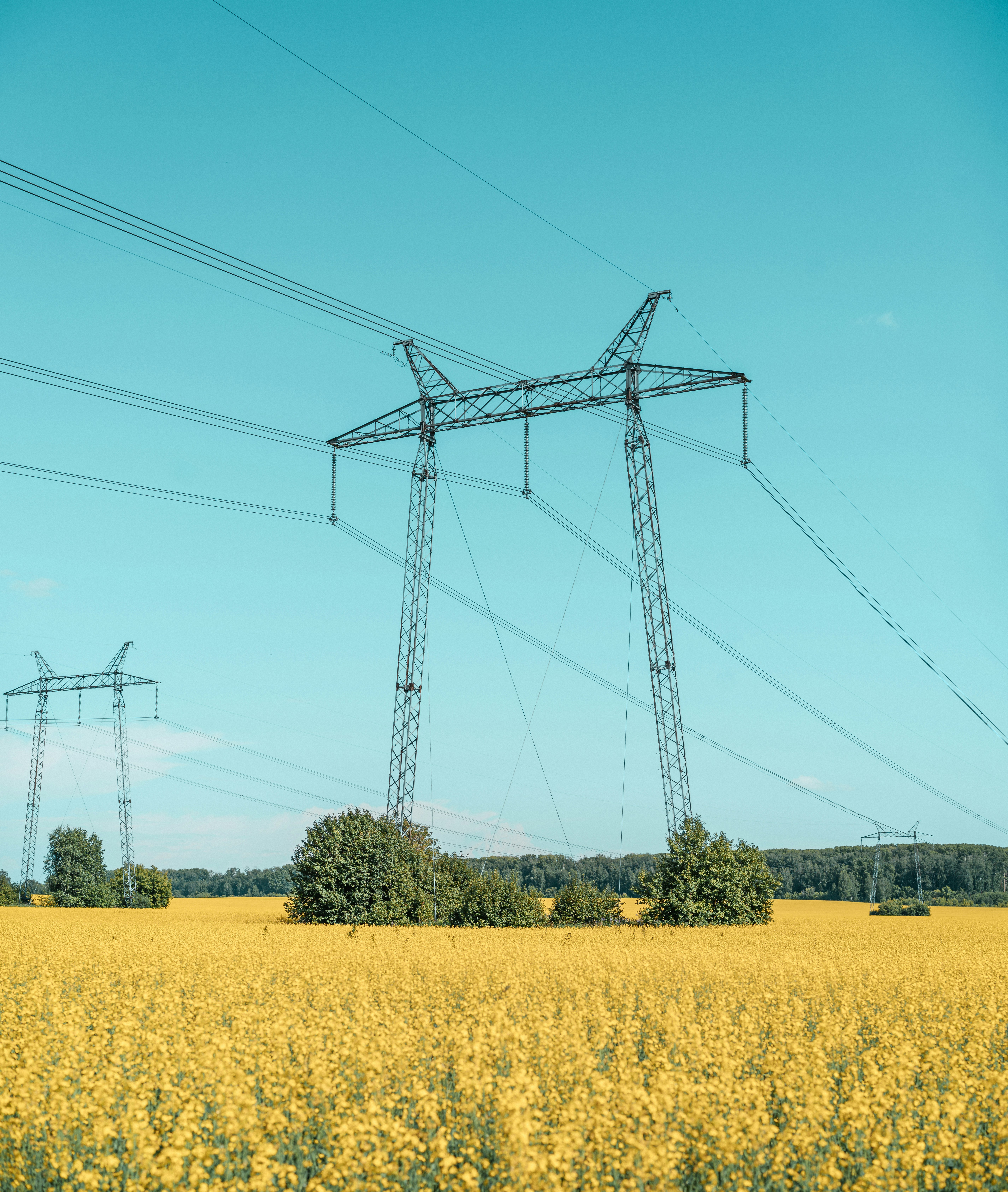 Photo by anamnesis33