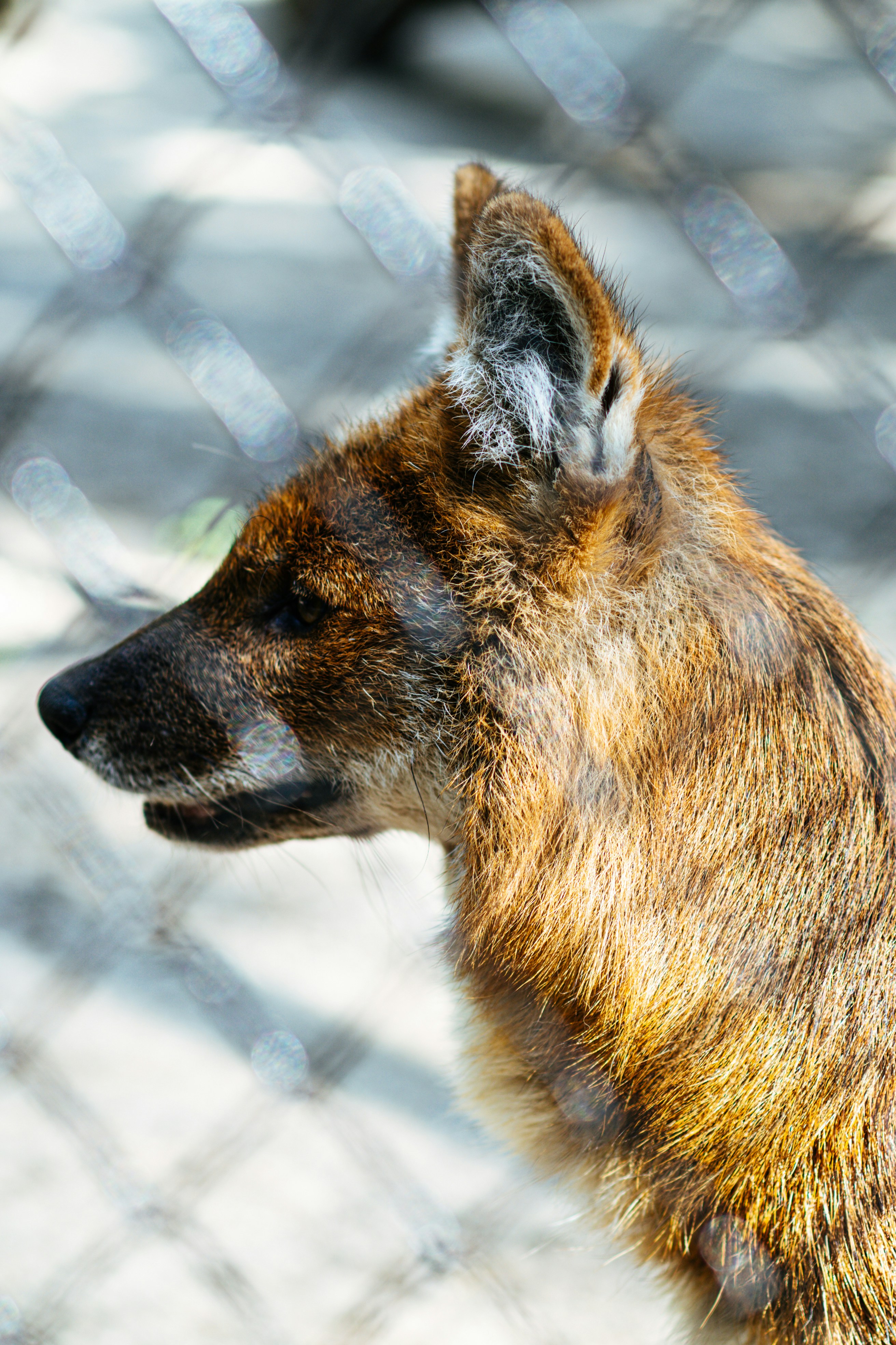 Photo by anamnesis33