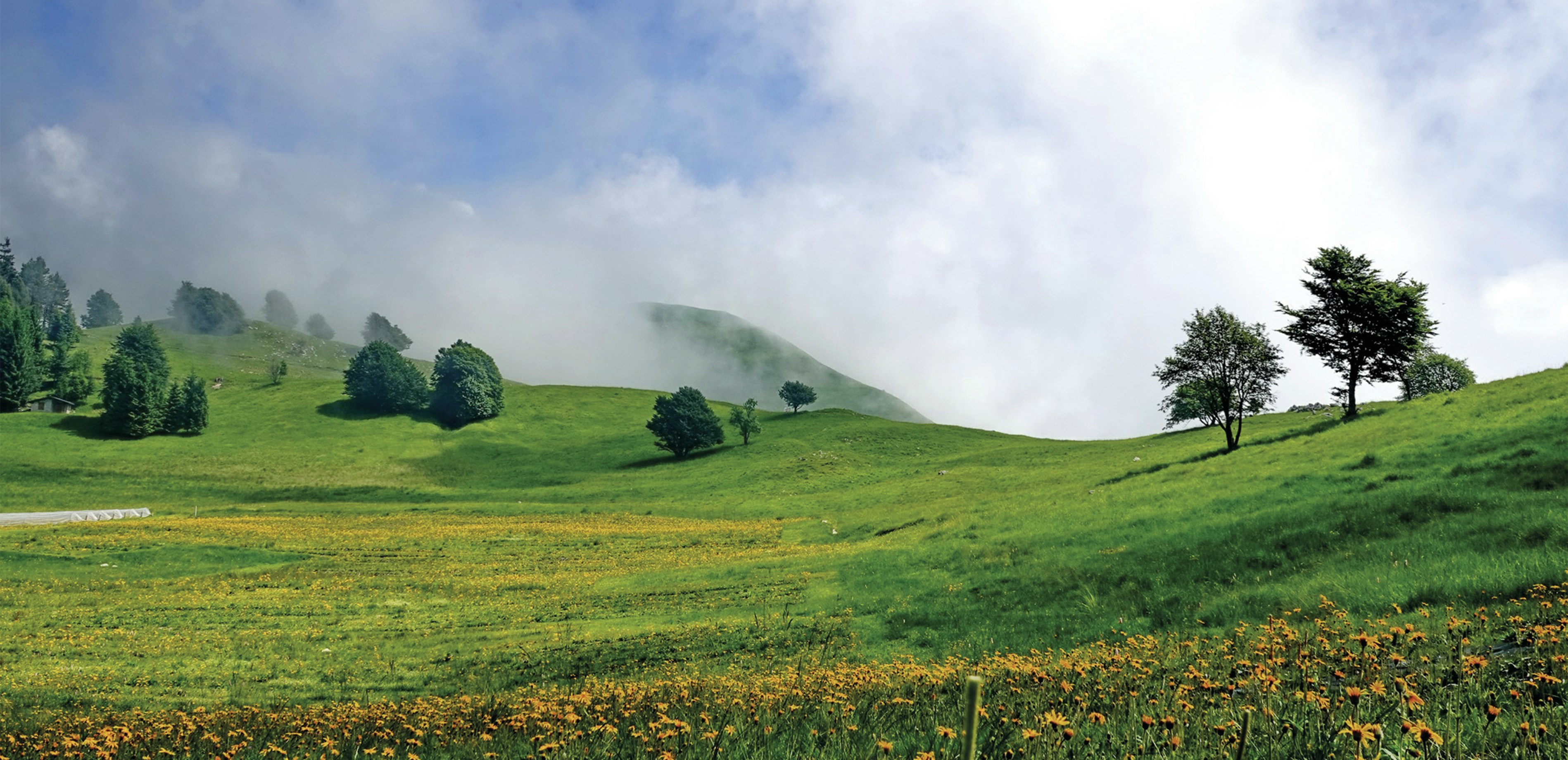 Green rolling hills under a cloudy sky. photo – Free Blue Image on Unsplash