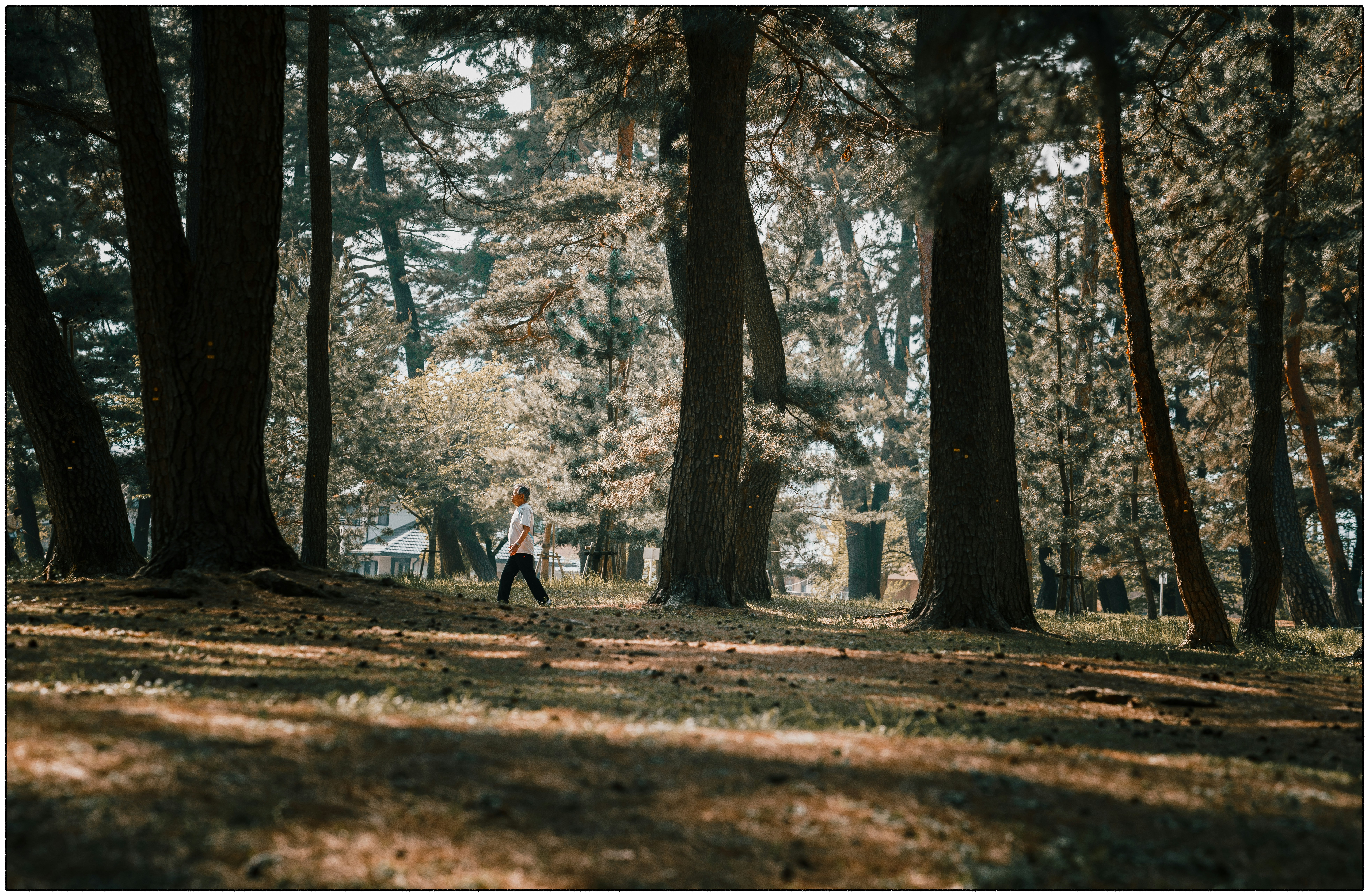 Photo by tiendat4393