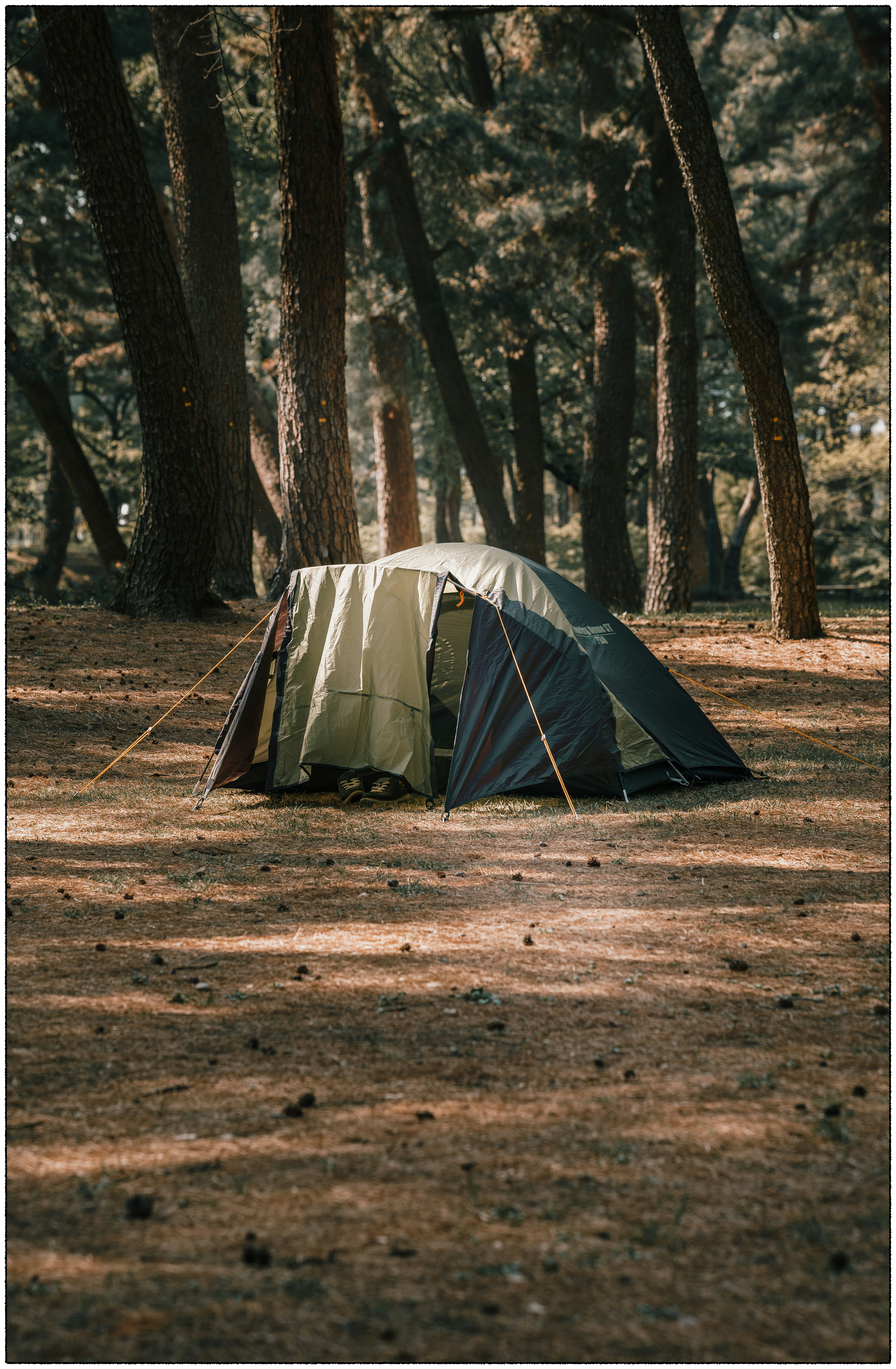 Photo by tiendat4393