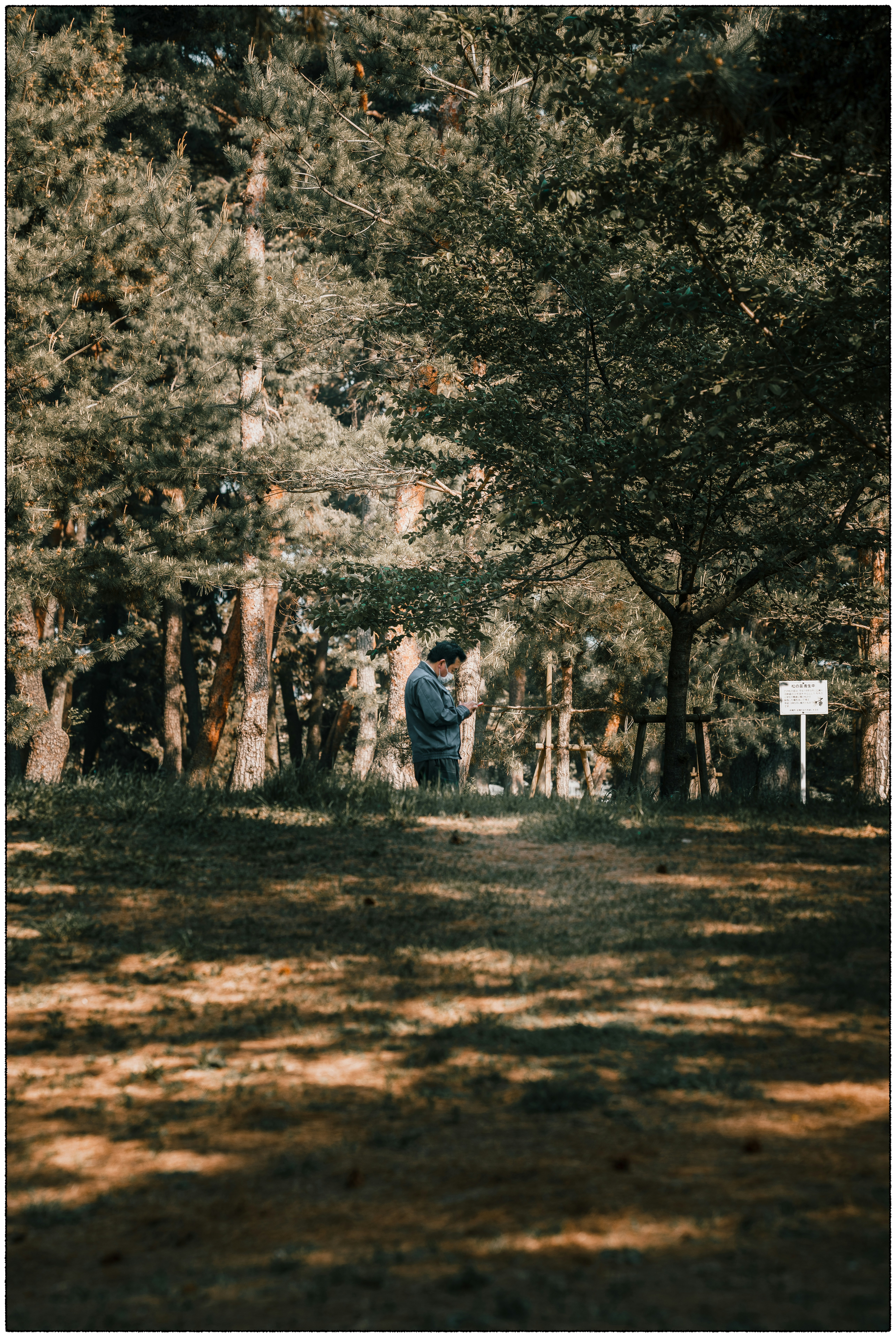 Photo by tiendat4393