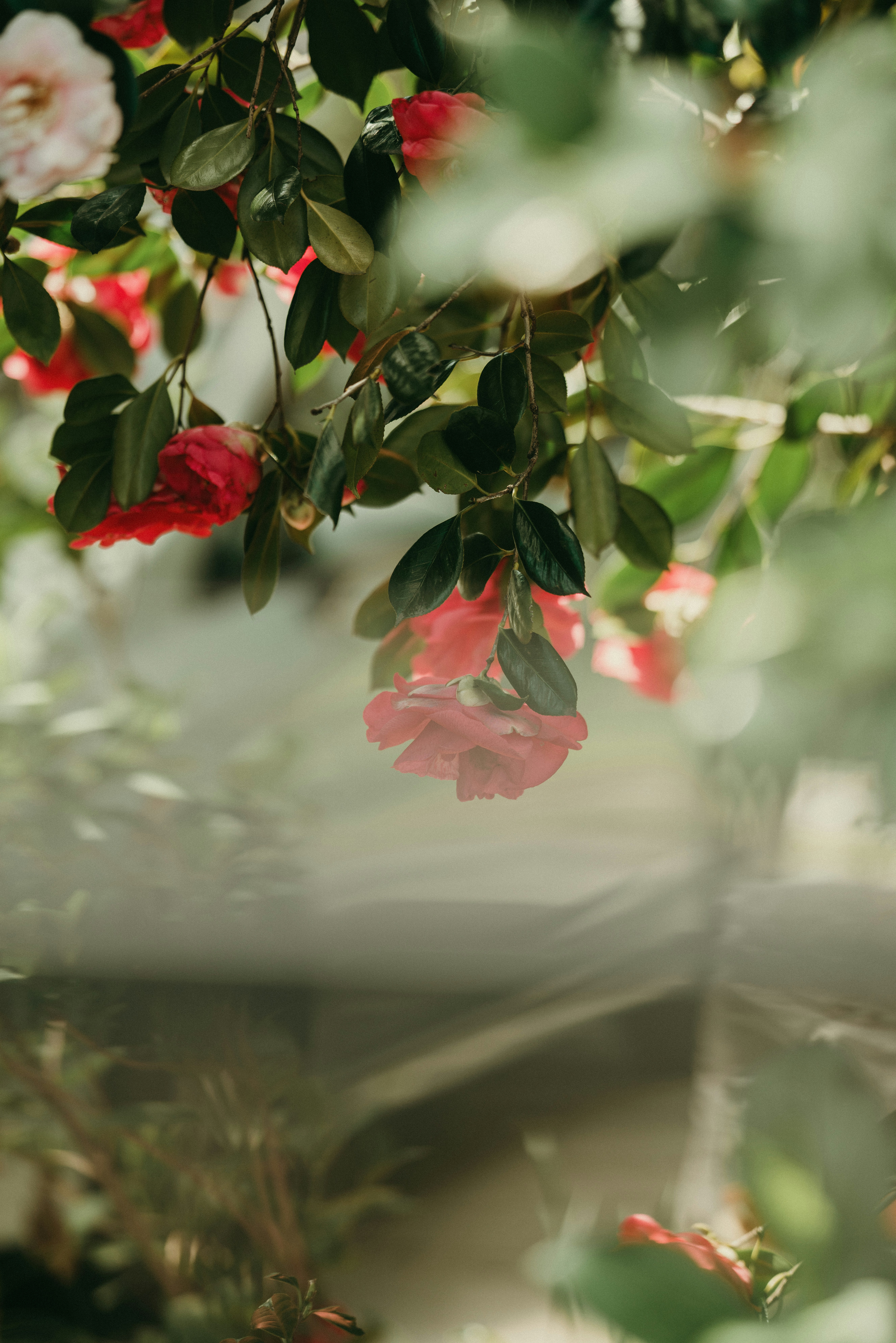 Photo by tiendat4393