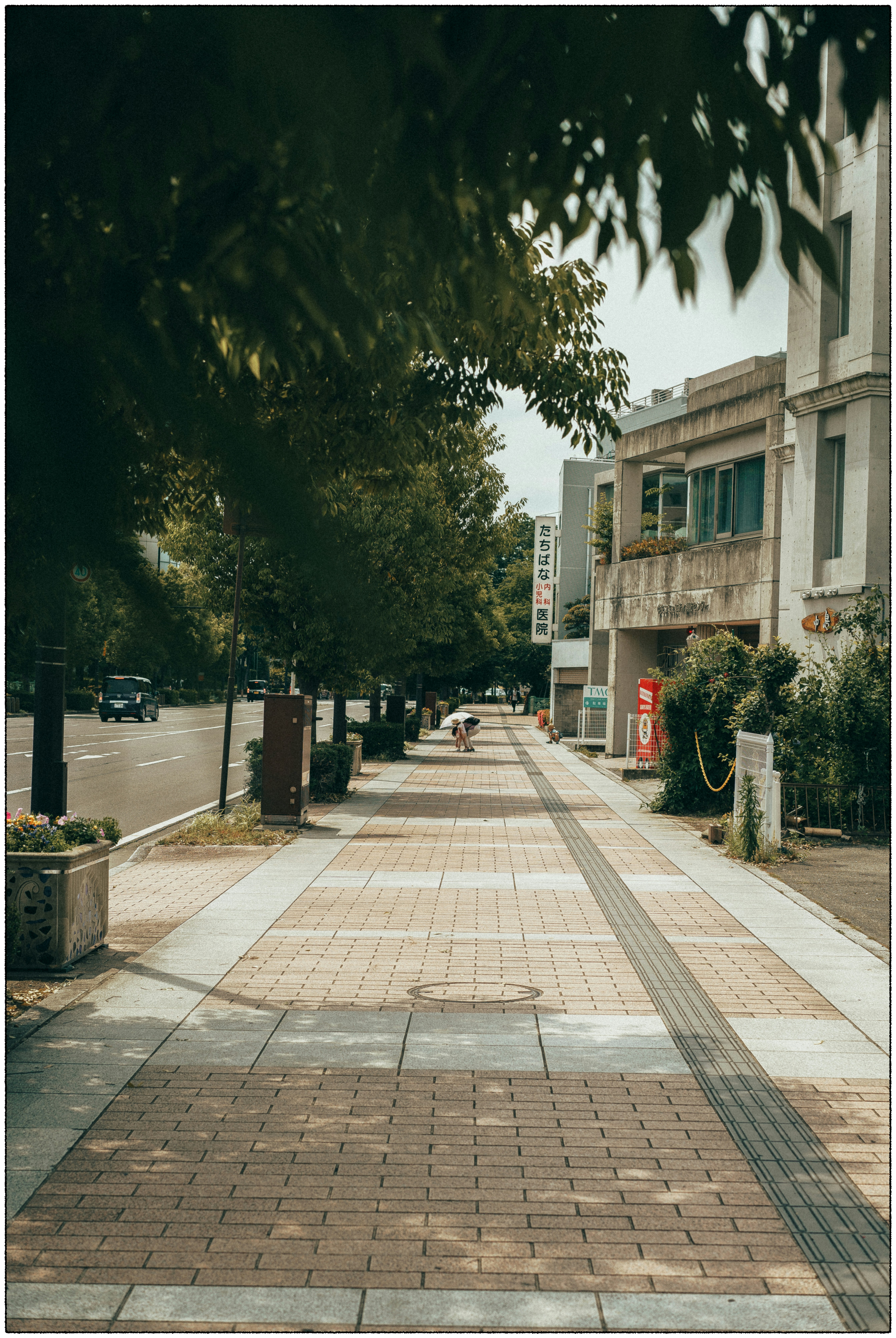 Photo by tiendat4393