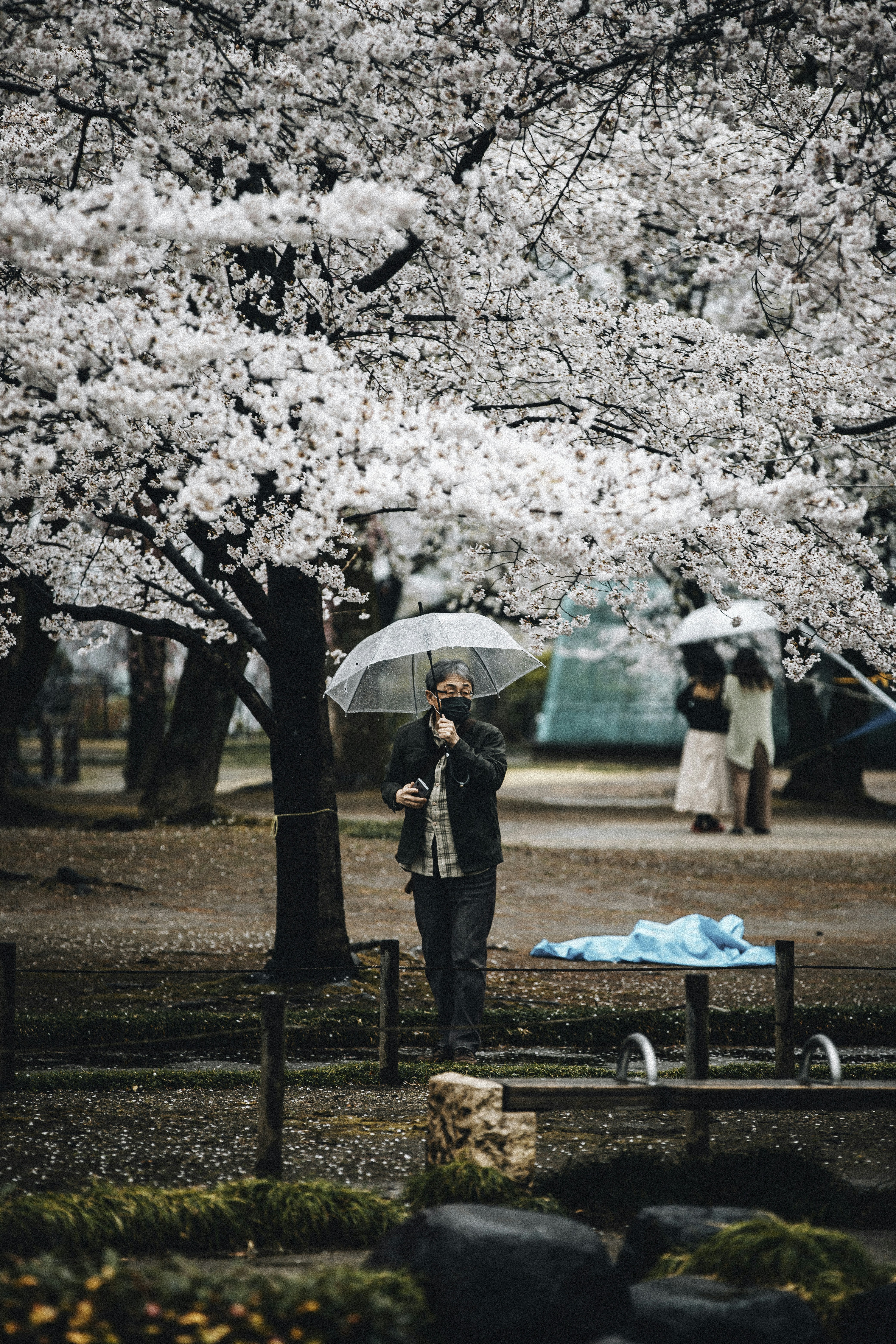 Photo by tiendat4393