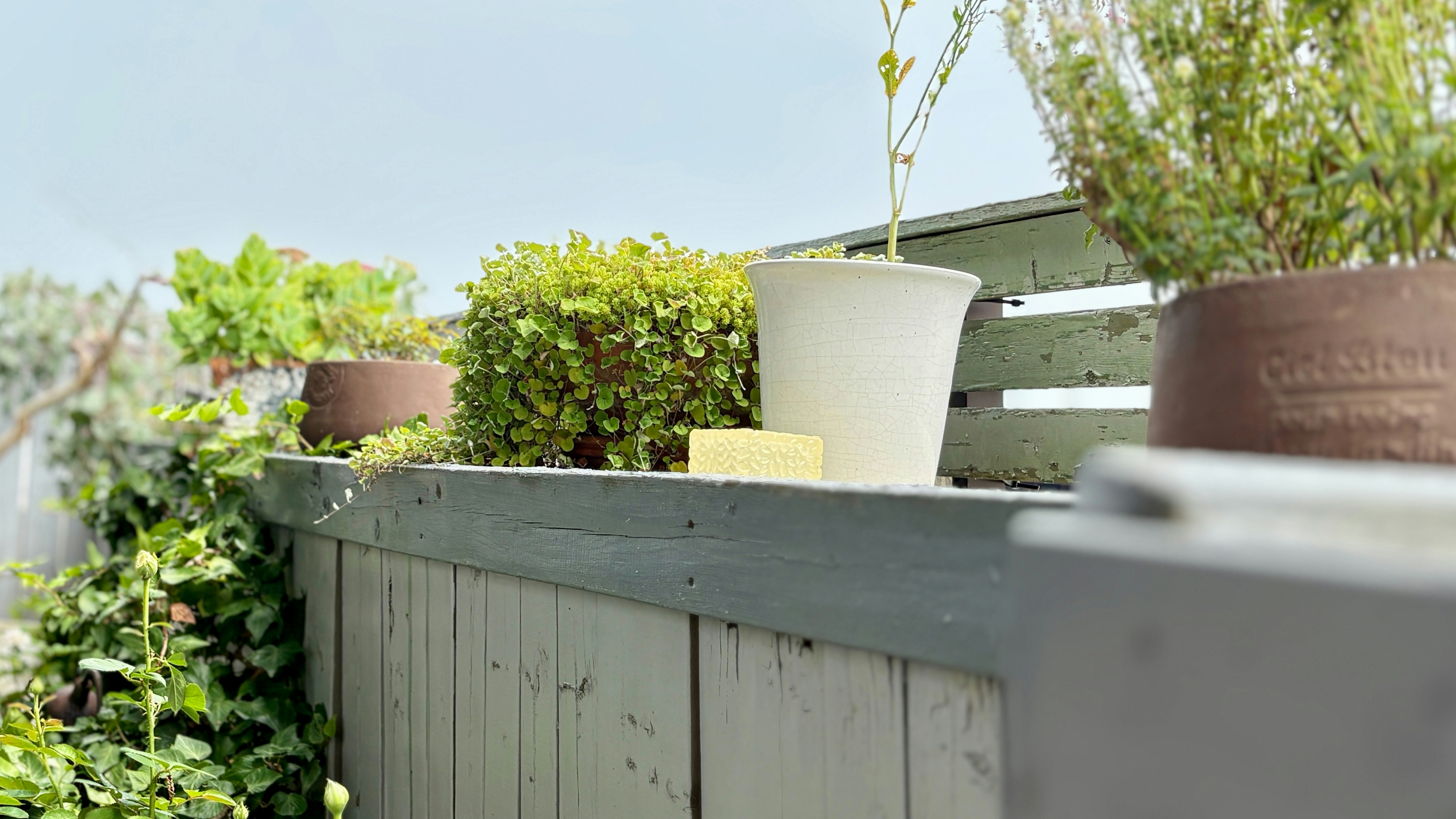 Photo by godzilla365