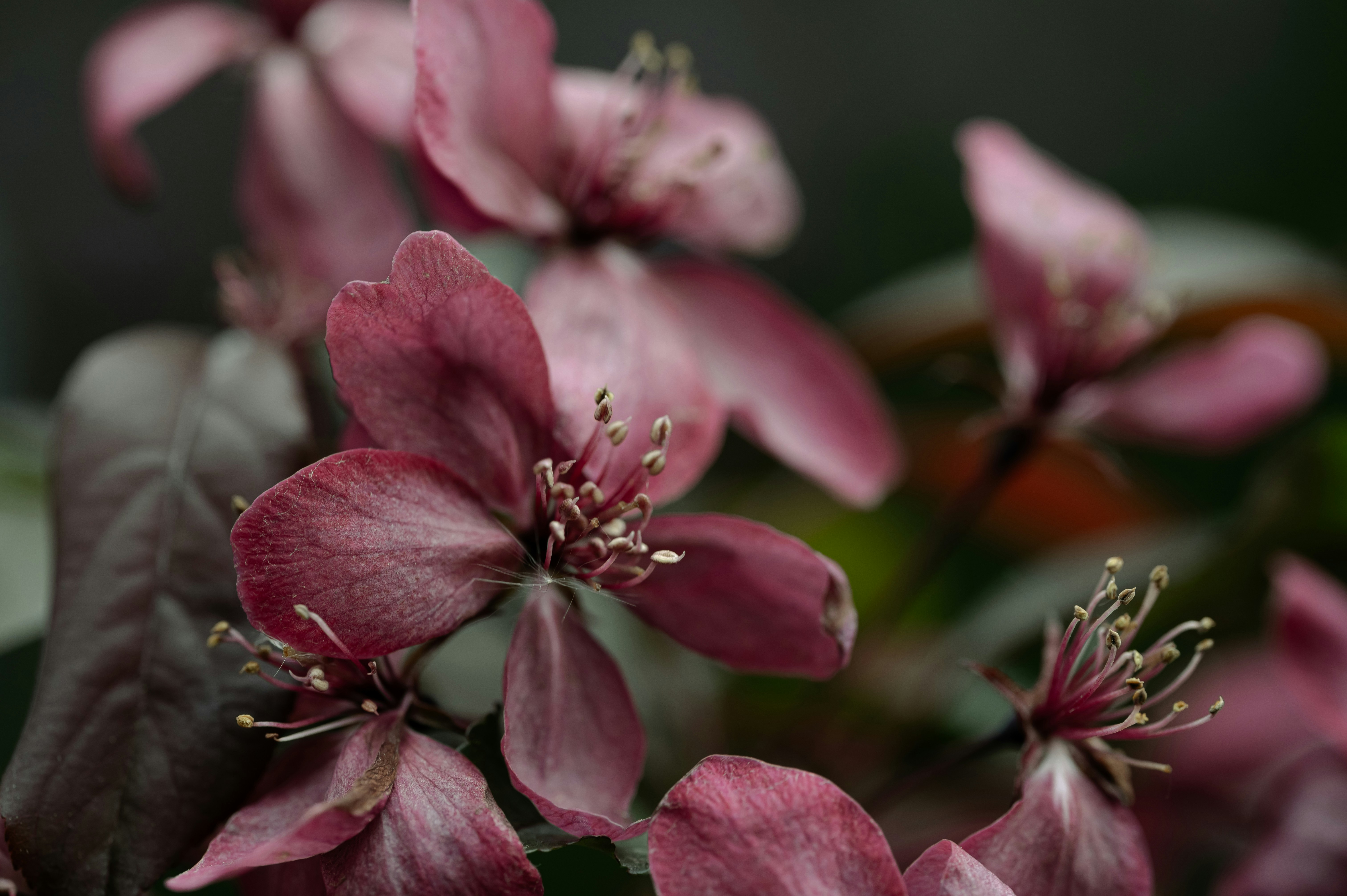 Photo by volodymyr_leush