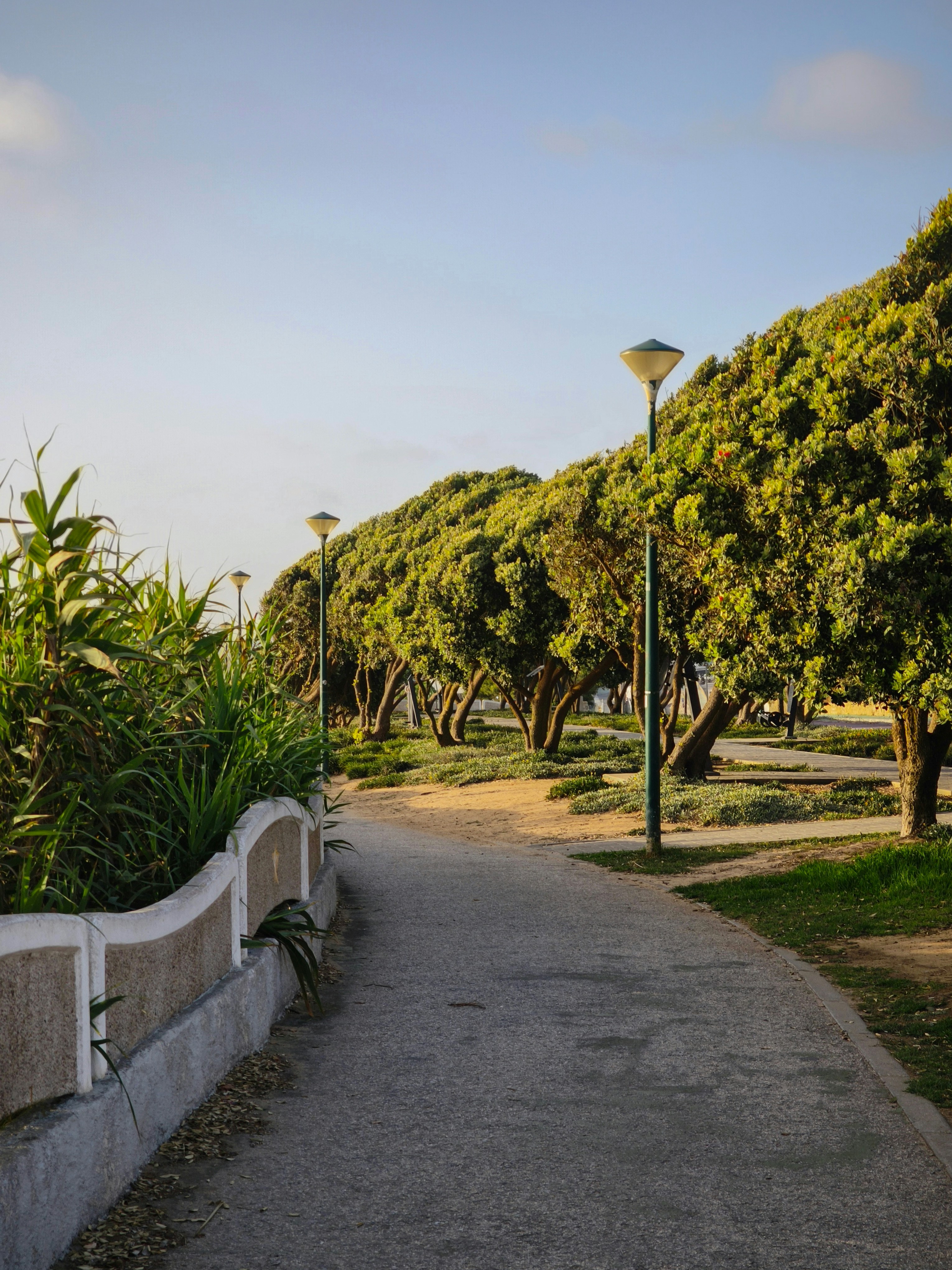 Photo by filipenobre